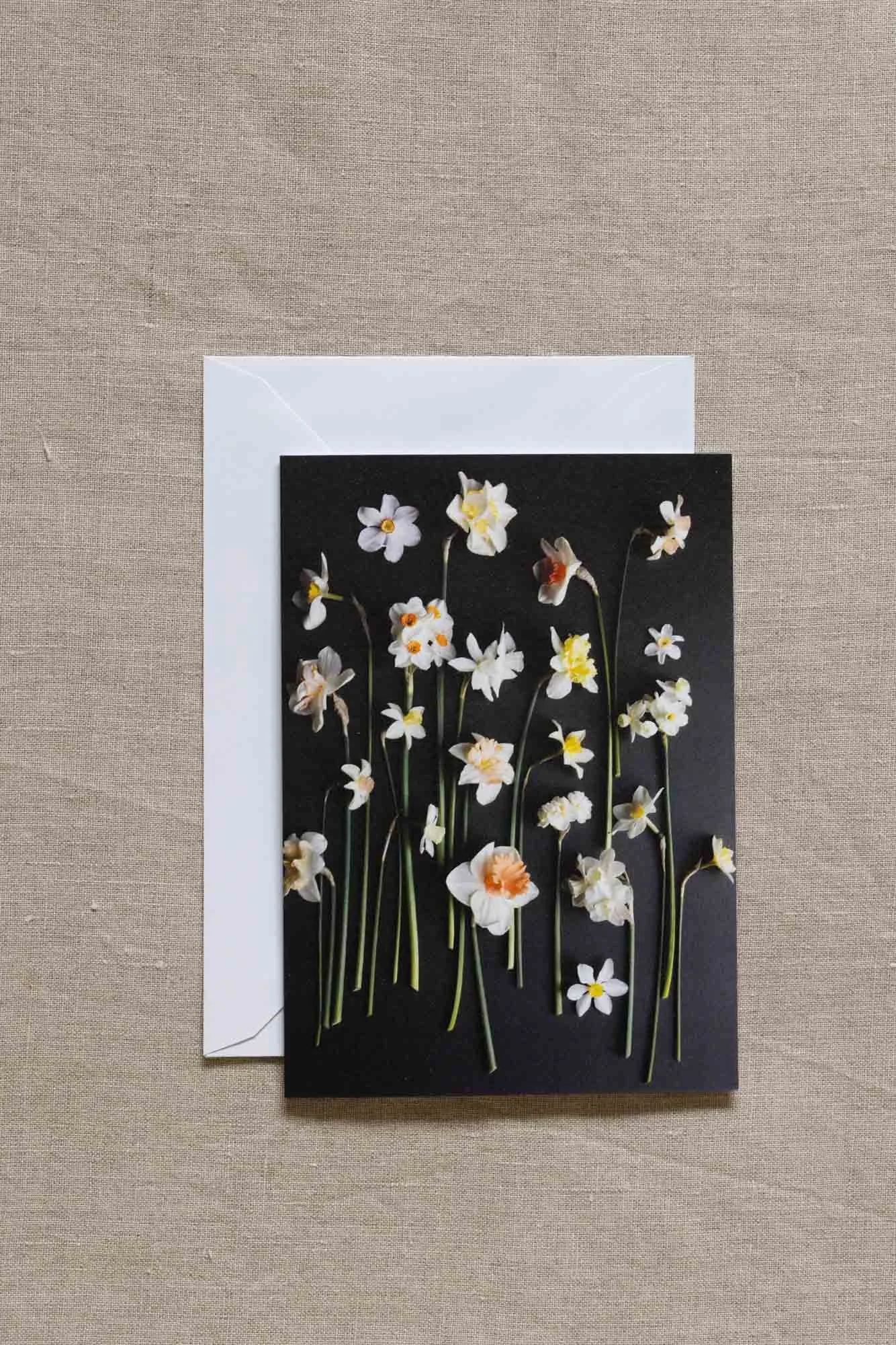 narcissi-daffodils-greeting-card.jpg