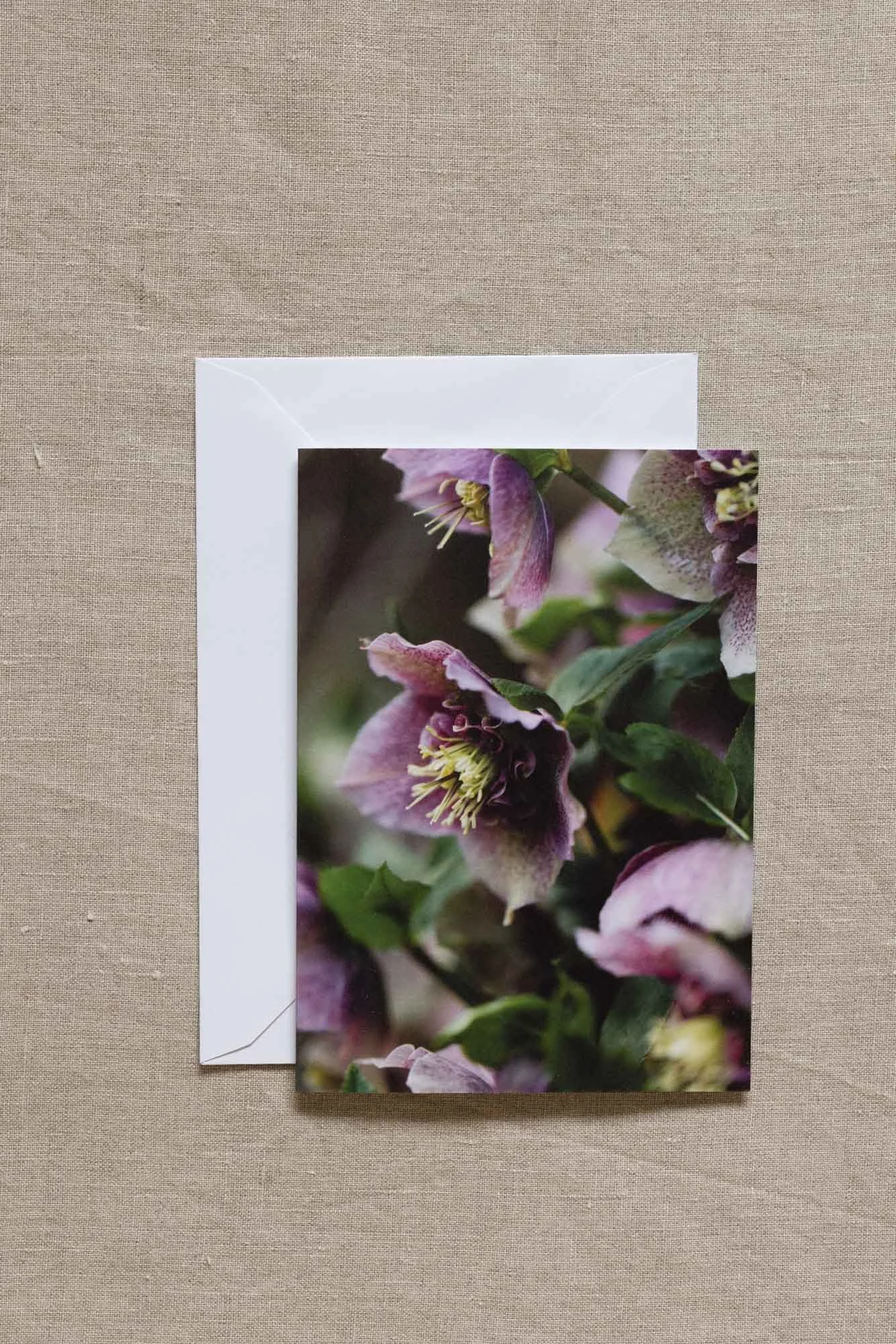 hellebore-greeting-card.jpg