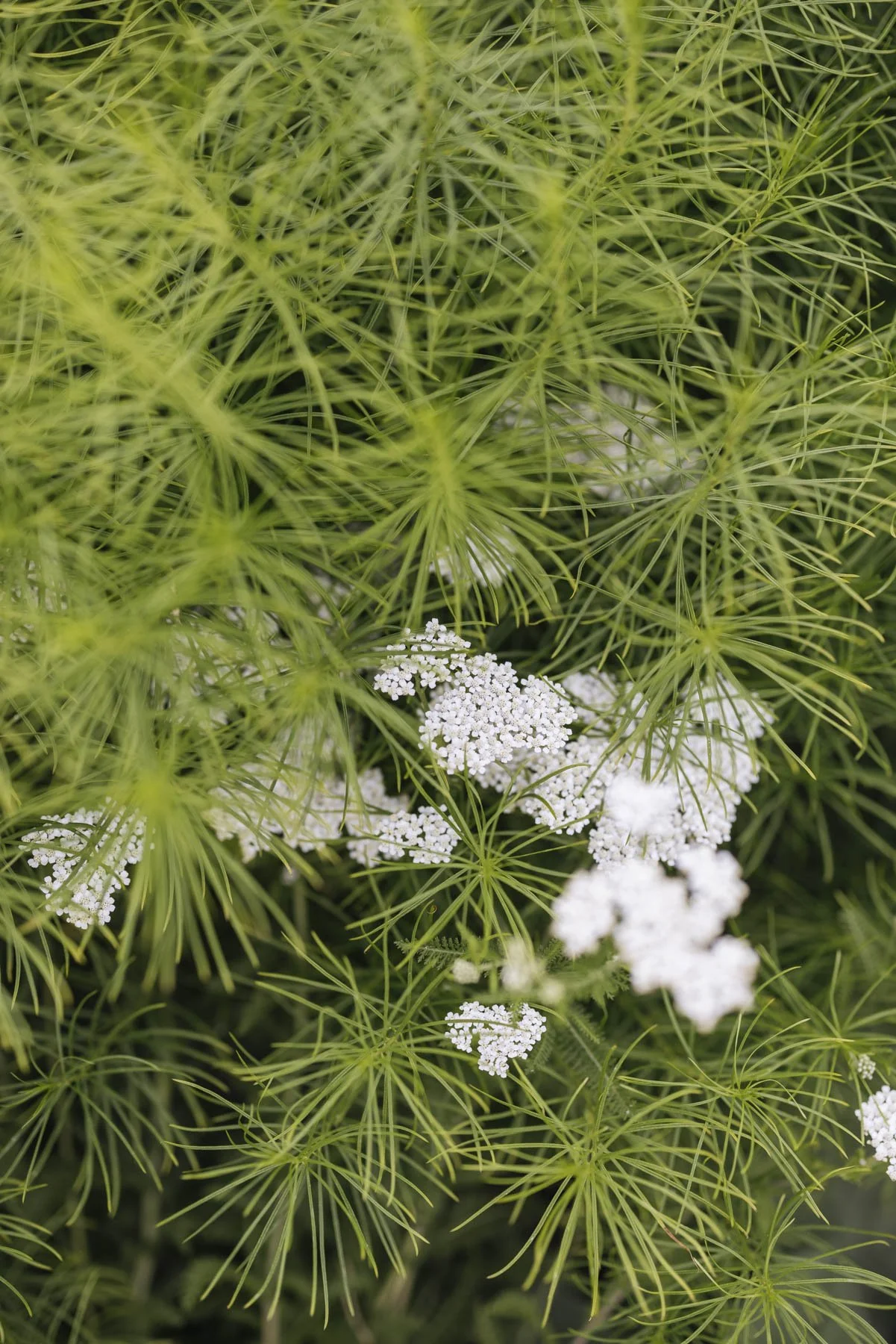 357A7777.jpg