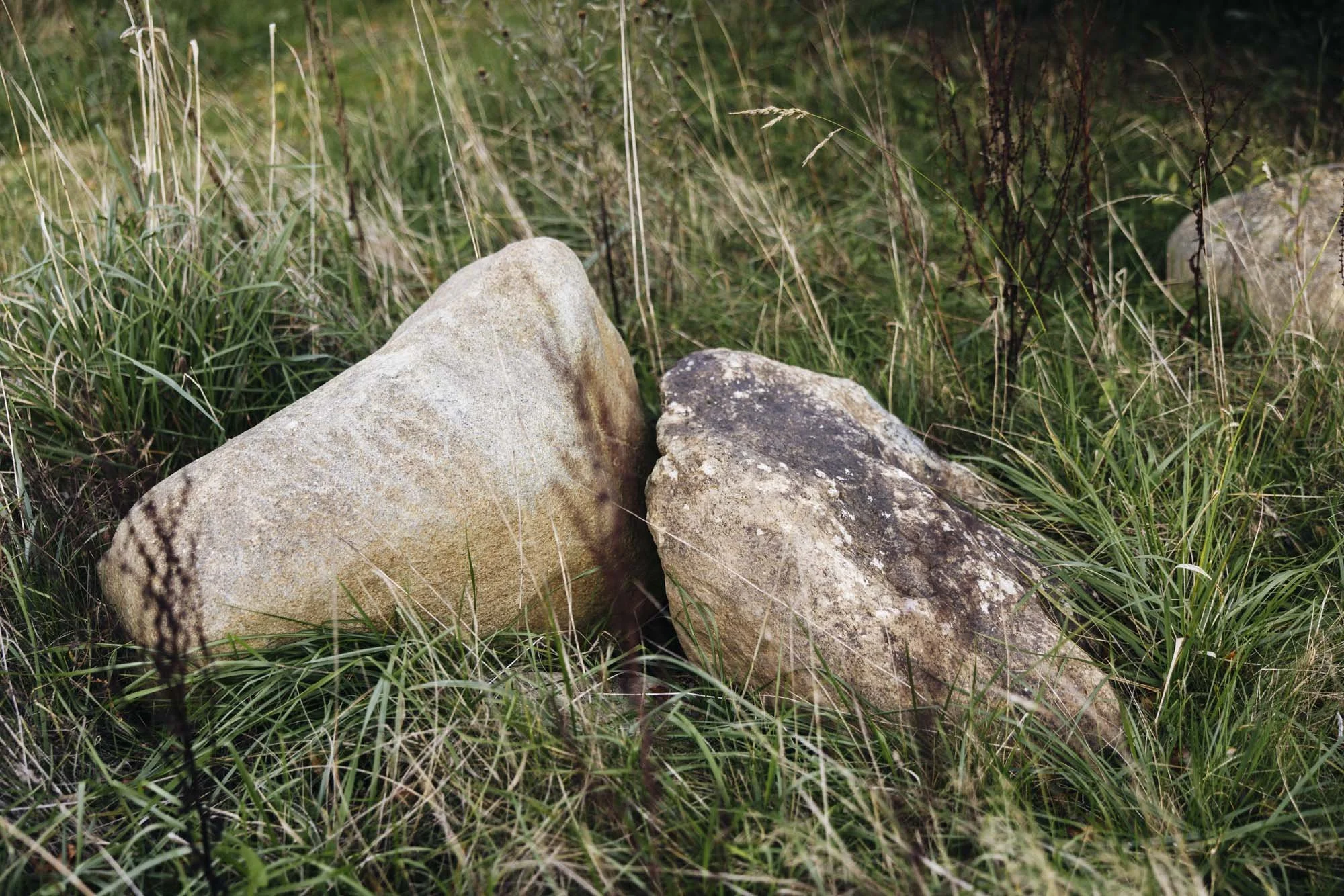 357A4661.jpg