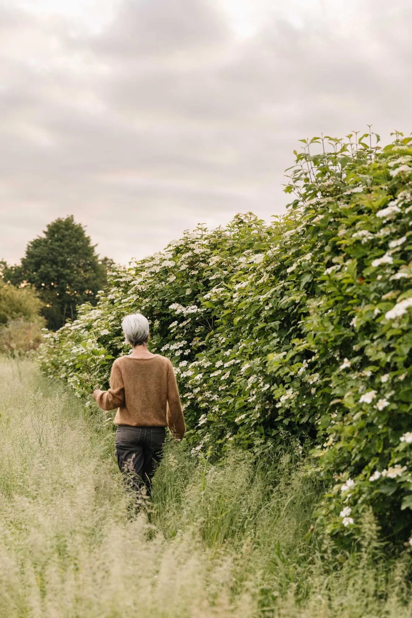 Rachel Siegfried at Green and Gorgeous wearing a brown sweater walking through a field of tall grass beside bushy, flowering plants on a cloudy day.