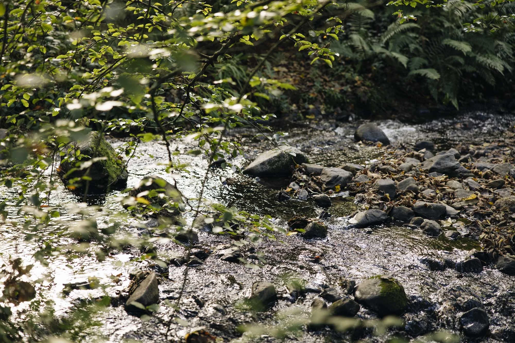 357A4338.jpg