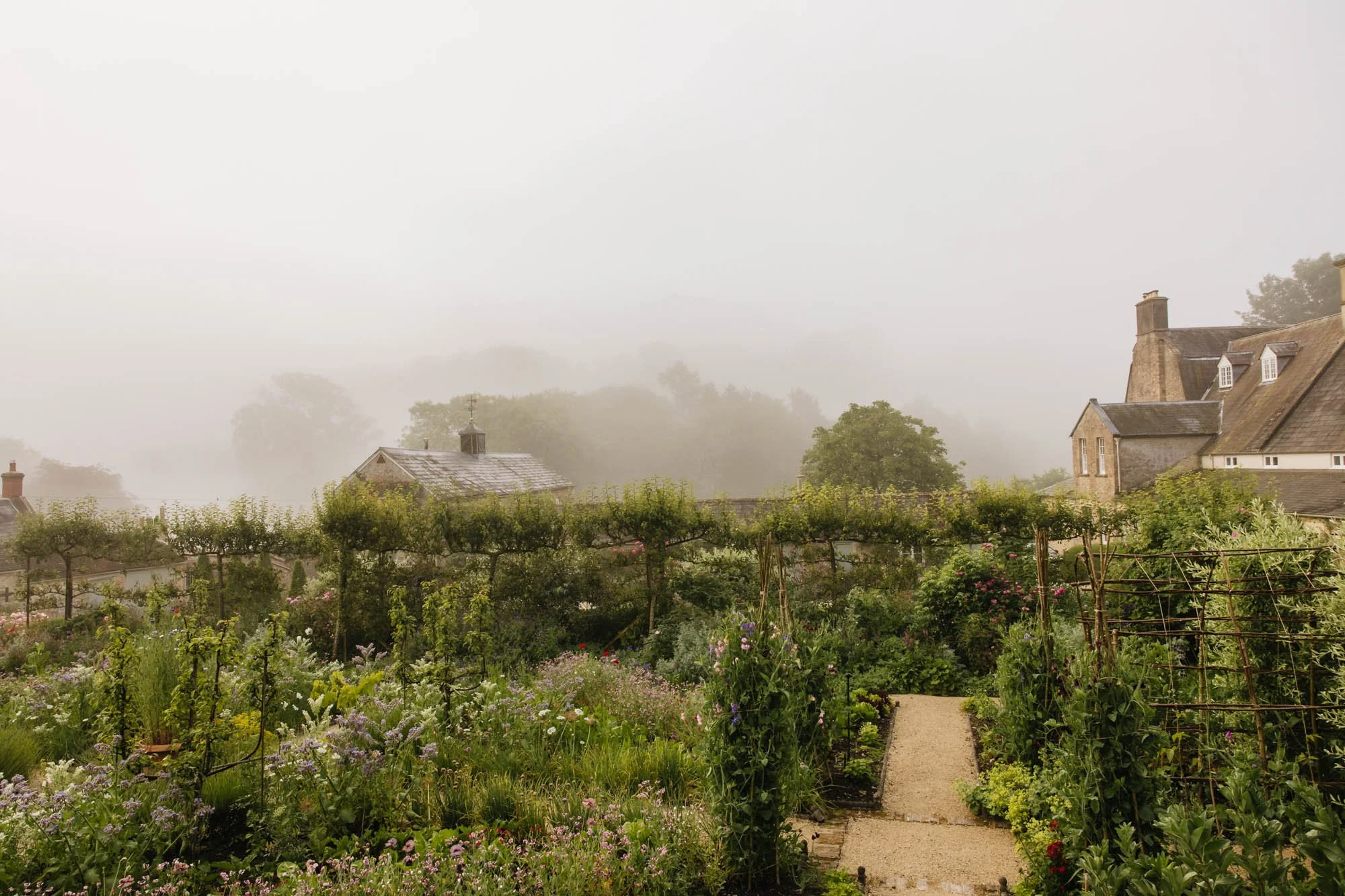 Batcome House and garden with a narrow pathway, surrounded by lush plants and flowers, and traditional stone houses with chimneys in the background.