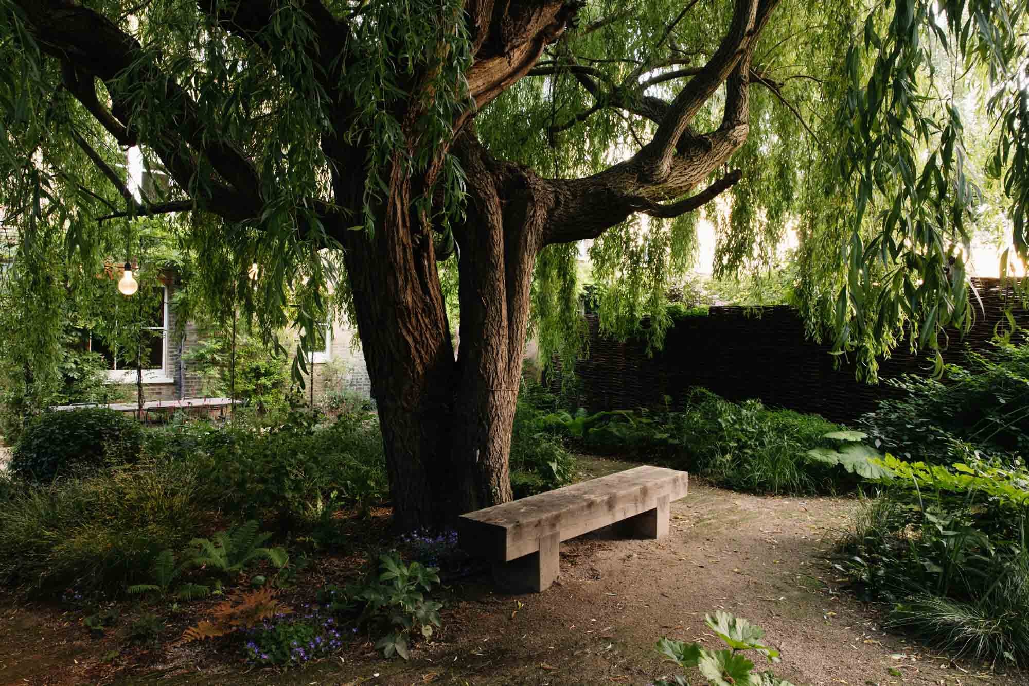 A garden with a large, mature willow tree with wooden bench under the tree in a Sarah Price designed garden.