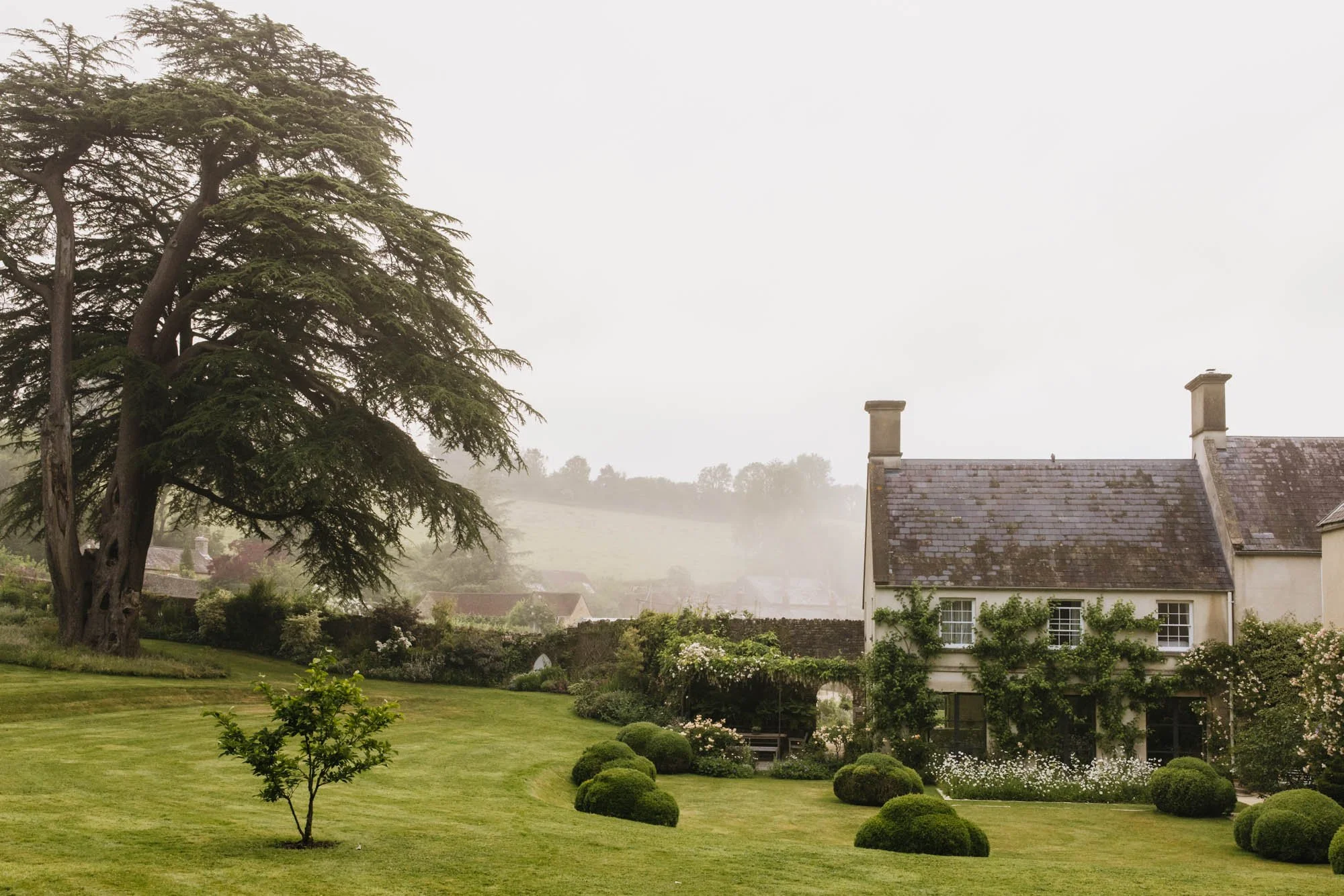 Batcome House with small bushes, a tall tree on the left, and a white house with ivy and chimneys. Mist surrounds the background hills.