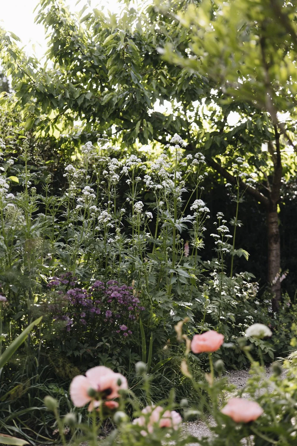 357A7829.jpg