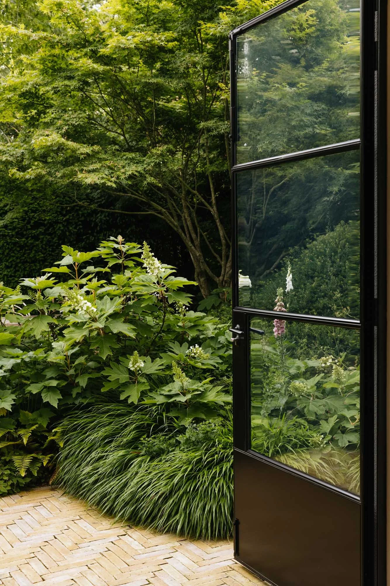 A view from an open black door leading to a lush garden with green leafy plants, shrubs, and trees. The reflection on the door's glass panels shows some of the garden's foliage. Luciano Giubbilei landscape studio London city garden