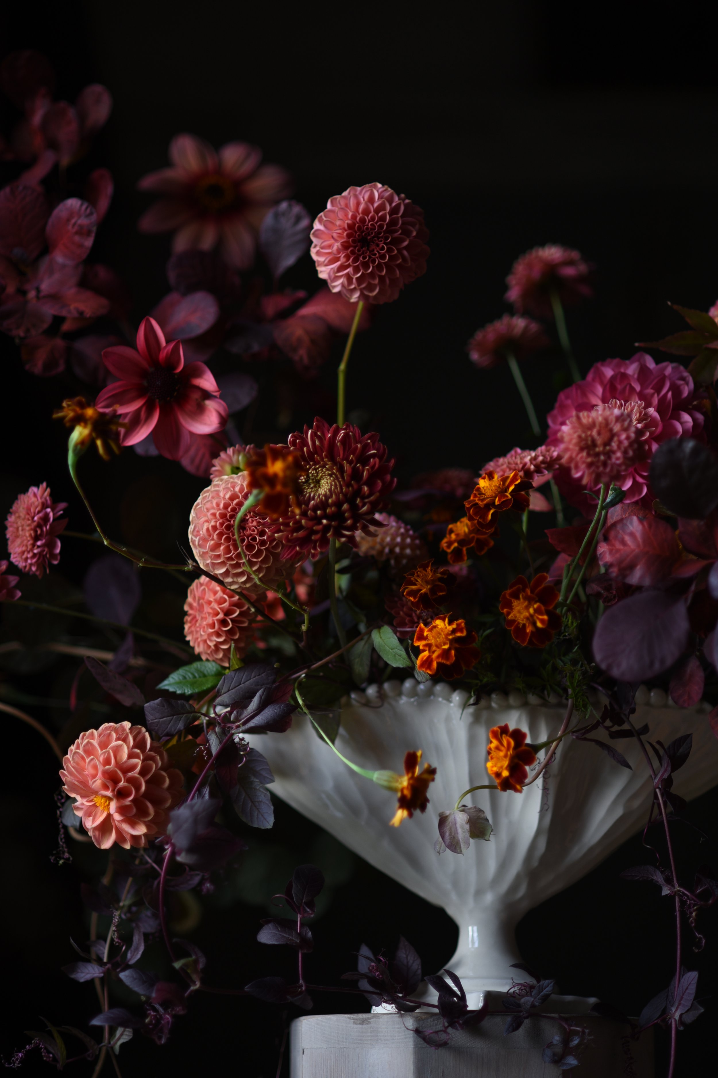AAA37056-0BBB-42D0-9F4C-33B3FD09F835.jpeg