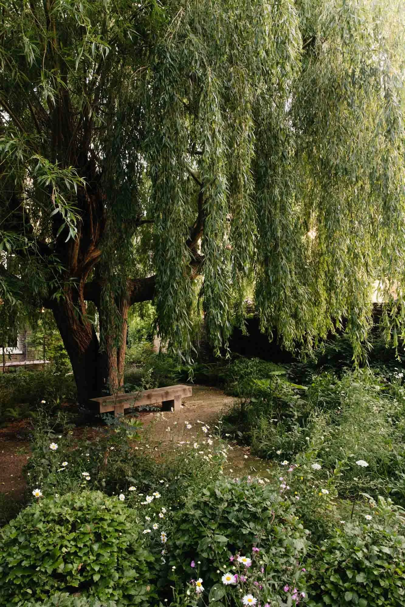 A serene garden scene with a large tree and a wooden bench underneath it, surrounded by various flowering plants and greenery. Sarah Price landscapes