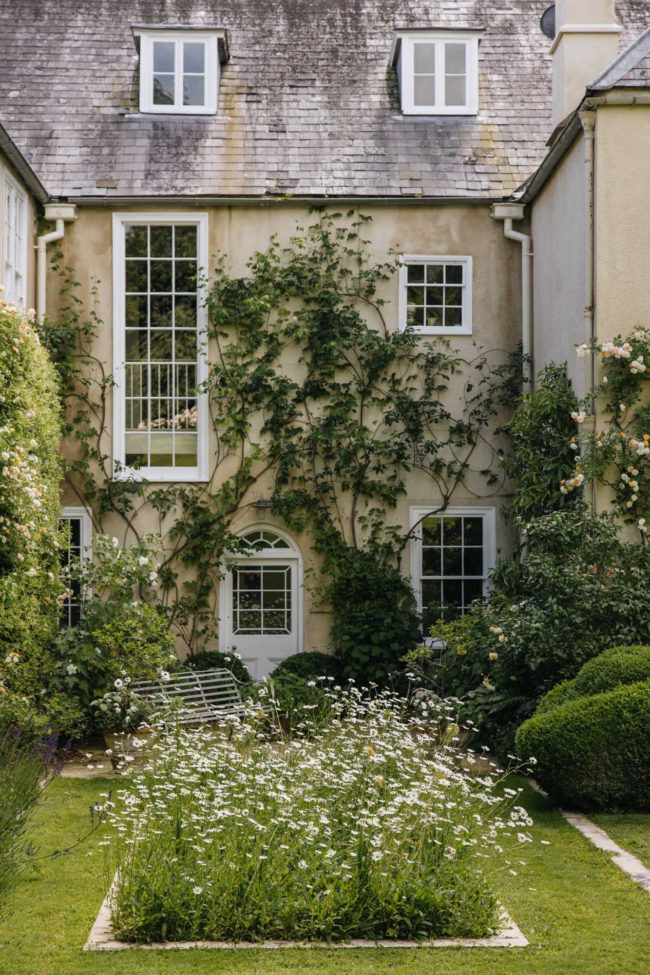 Batcombe House with roses climbing the beige stucco wall, white-framed windows, and a small garden with white daisies, a bench, and bushes.