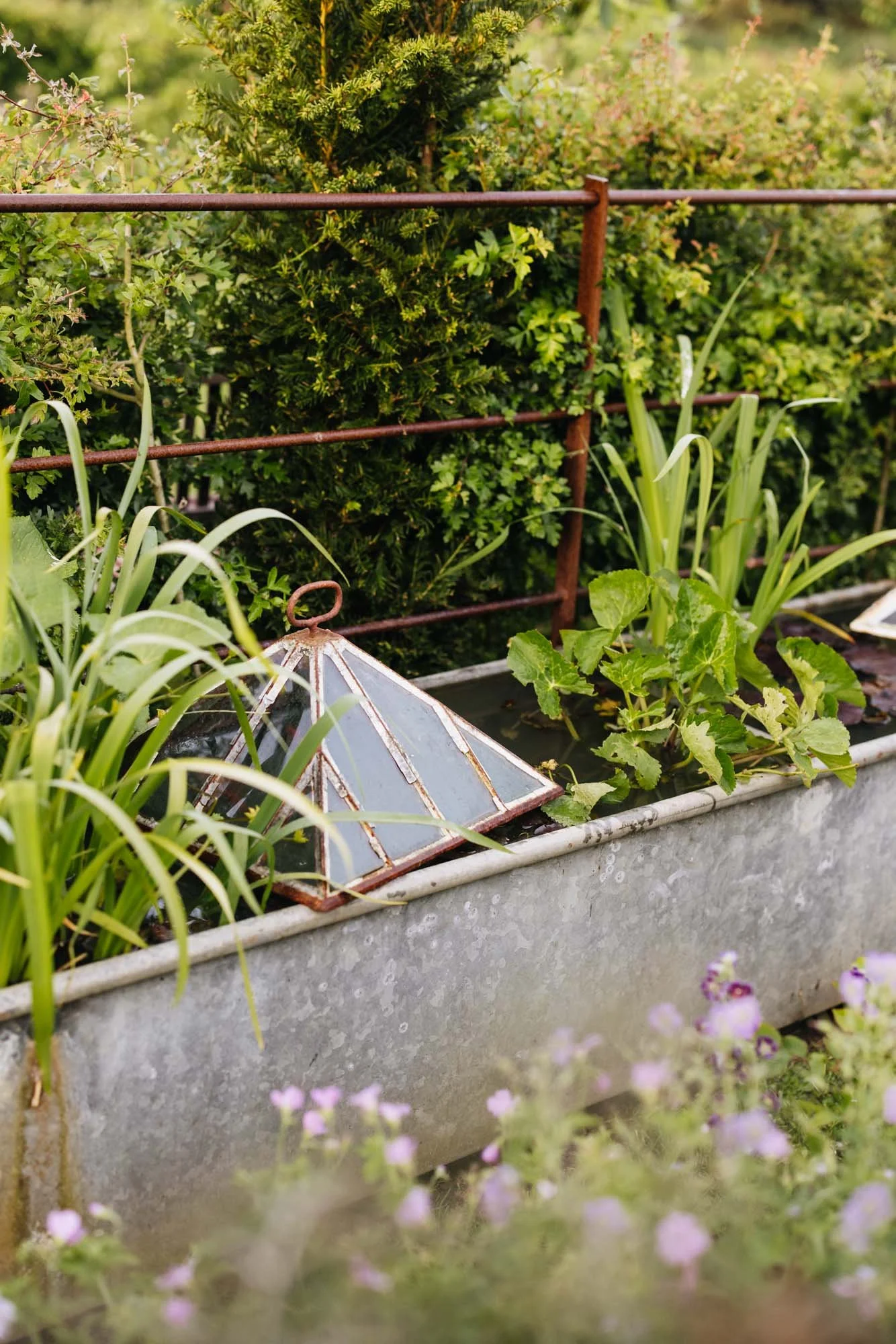 357A6004.jpg