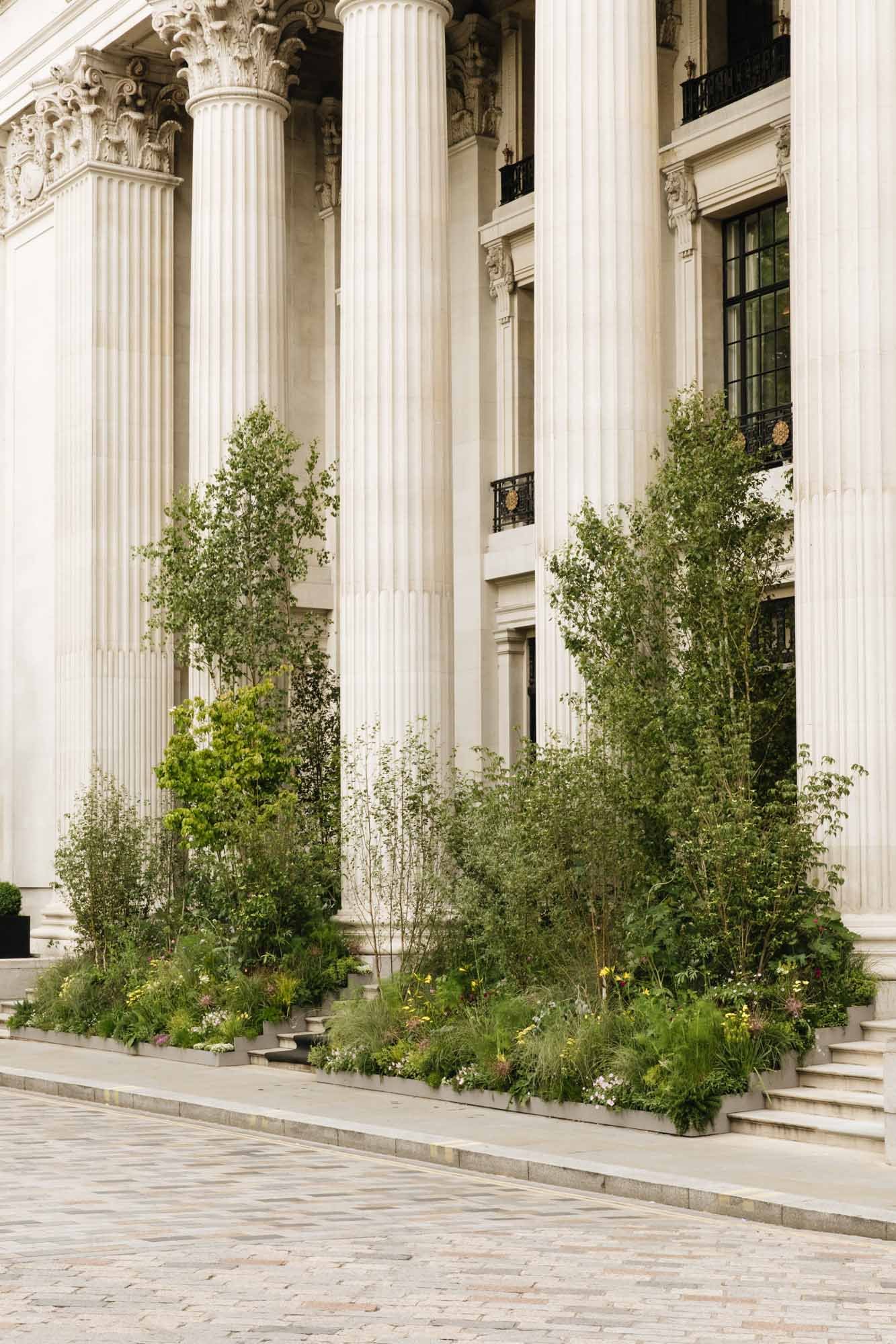 Front view of a grand classical building with tall white columns, stairs, and greenery in front. Alex Noble garden design London for Four Seasons hotels