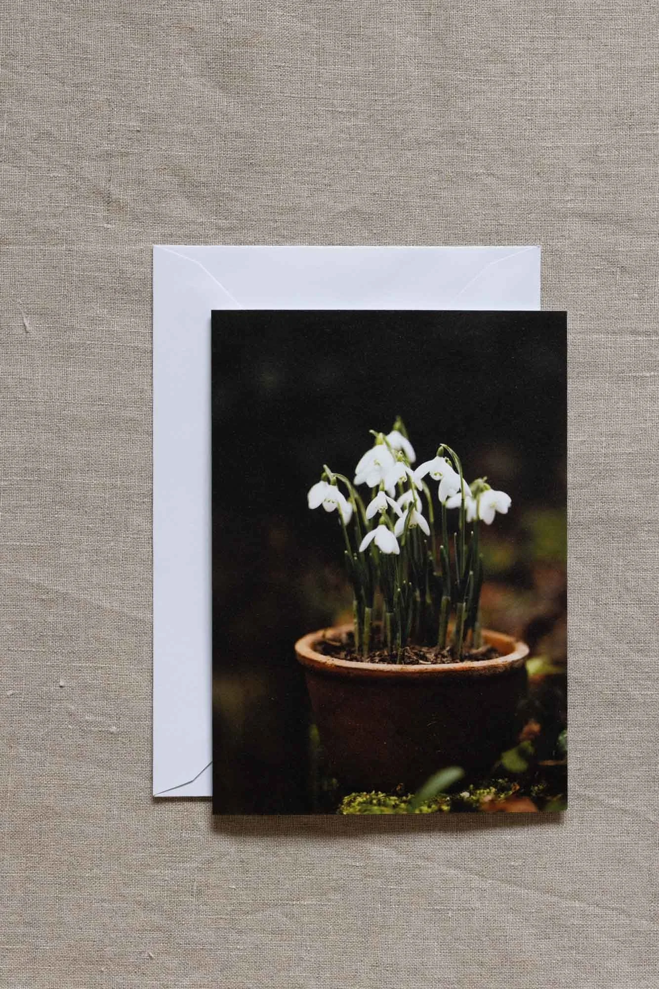 snowdrops-in-pot-greeting-card.jpg