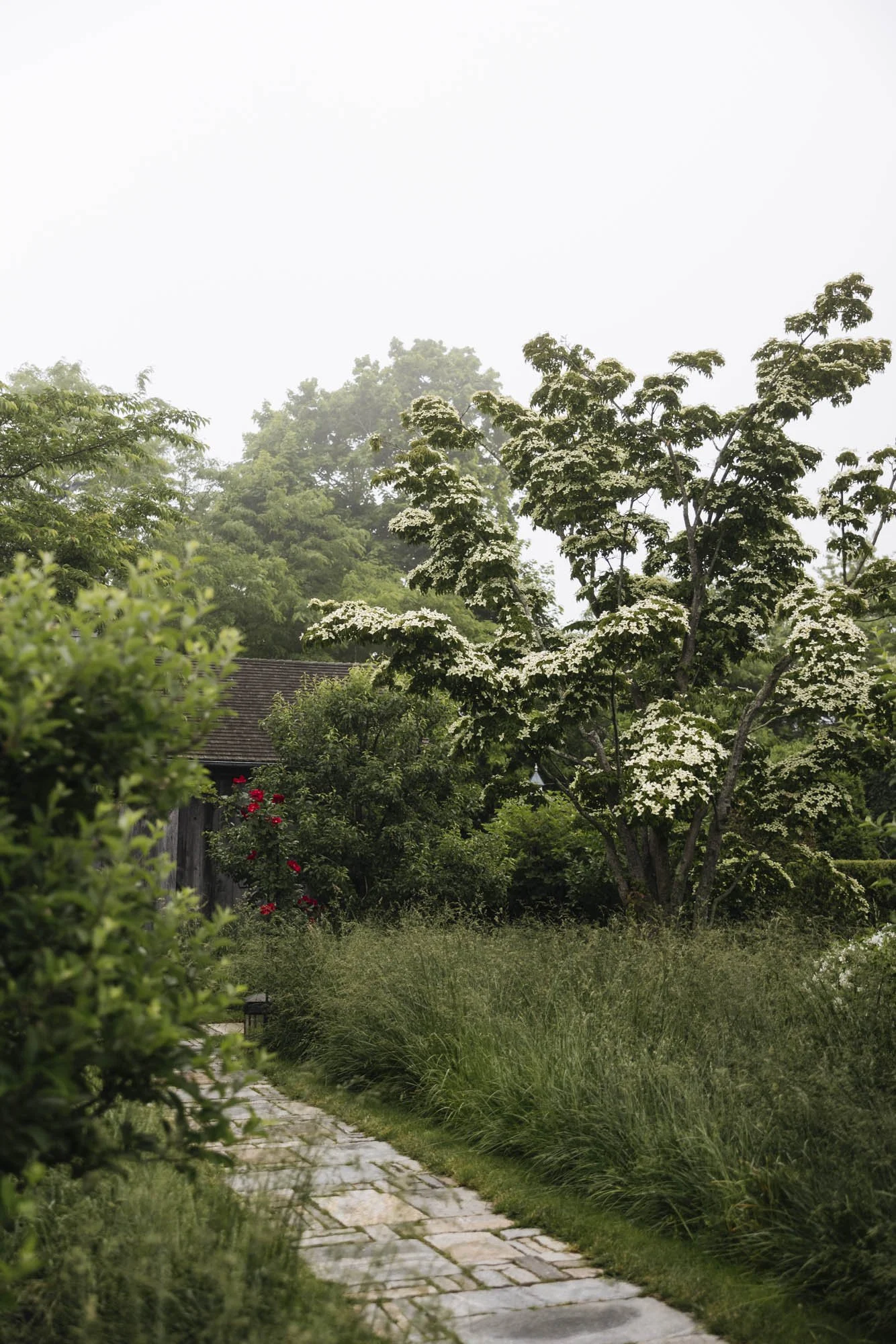 357A0054.jpg