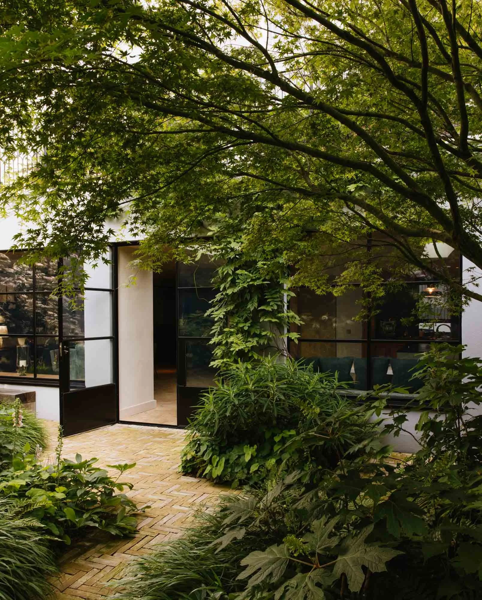 A lush green garden with dense foliage and a tree, adjacent to a modern building with black metal-framed glass doors and windows, and a brick-paved pathway. Luciano Giubbilei landscape studio London city garden