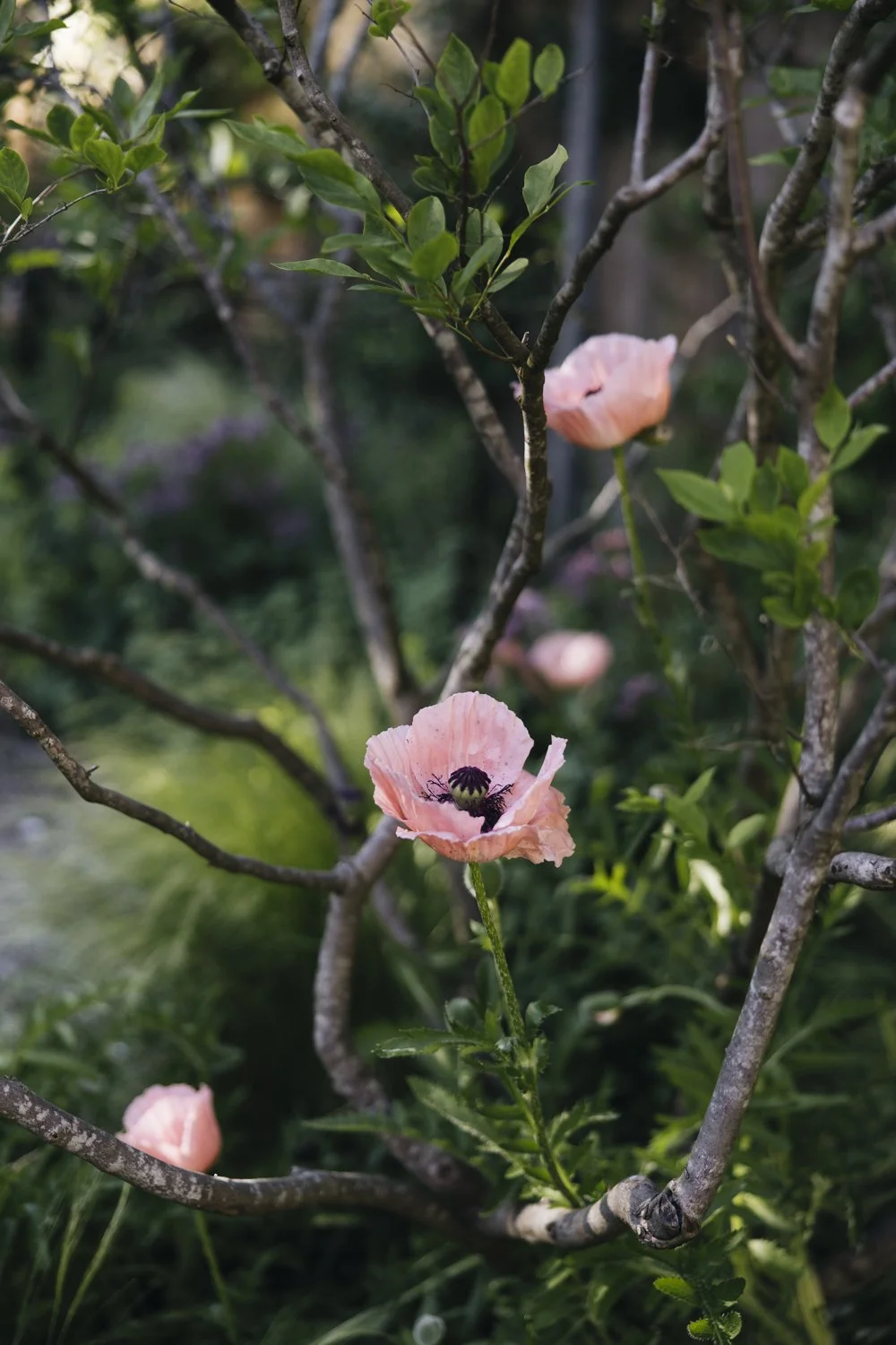 357A7986.jpg