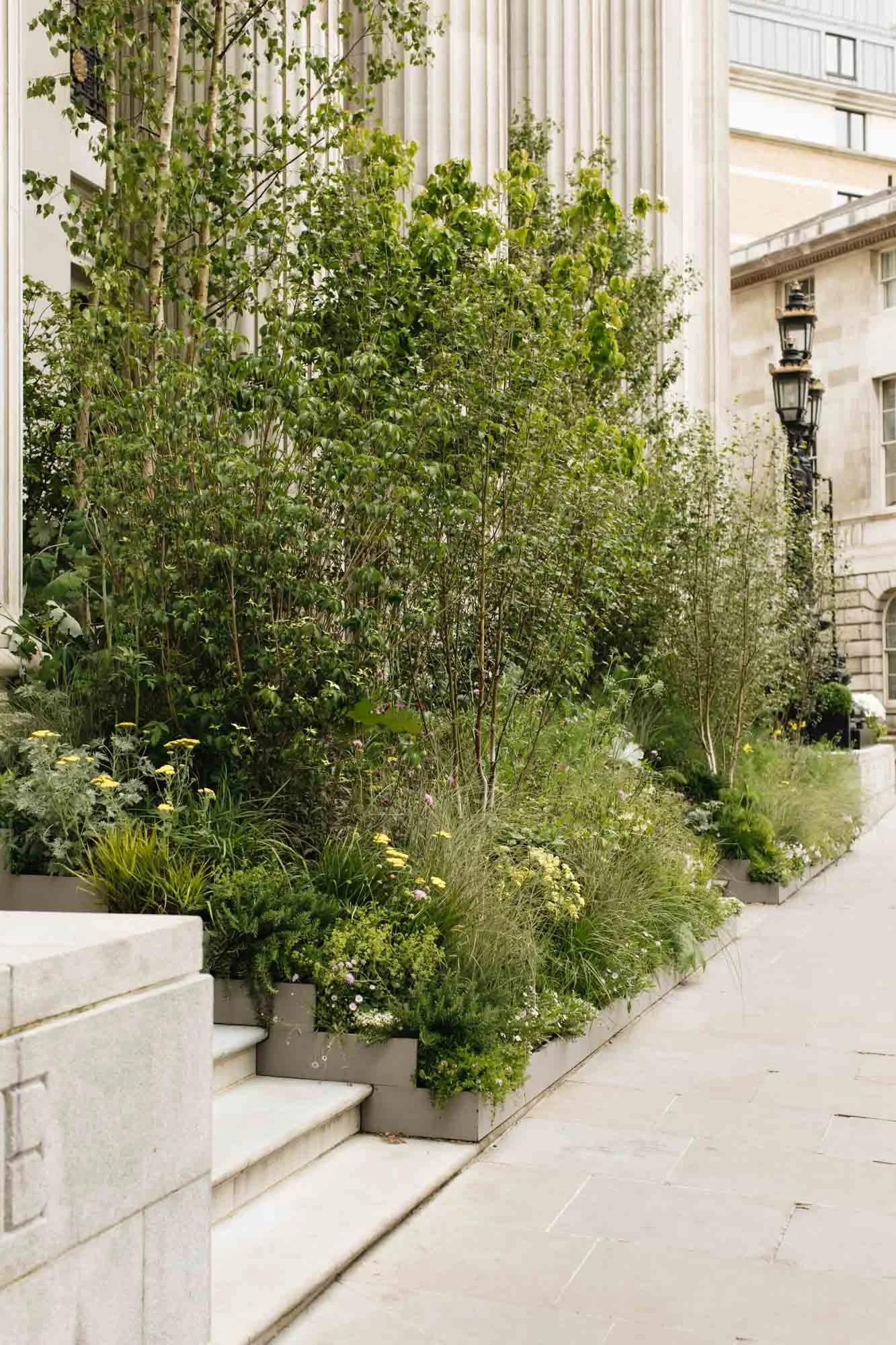 Urban street with a lush green garden bed beside a stone building, featuring a variety of plants and small trees along the sidewalk. Alex Noble garden design London for Four Seasons hotels