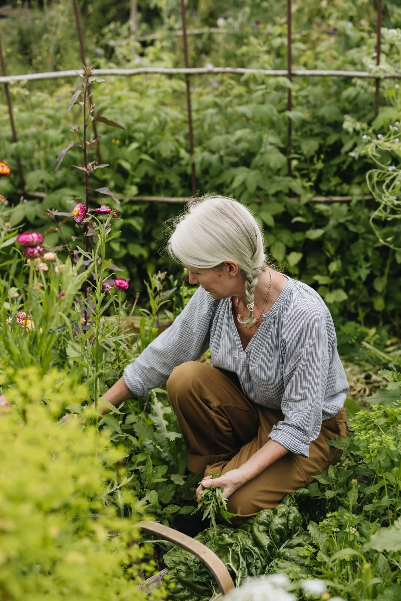 Alison Jenkins harvesting edible perennials for salad