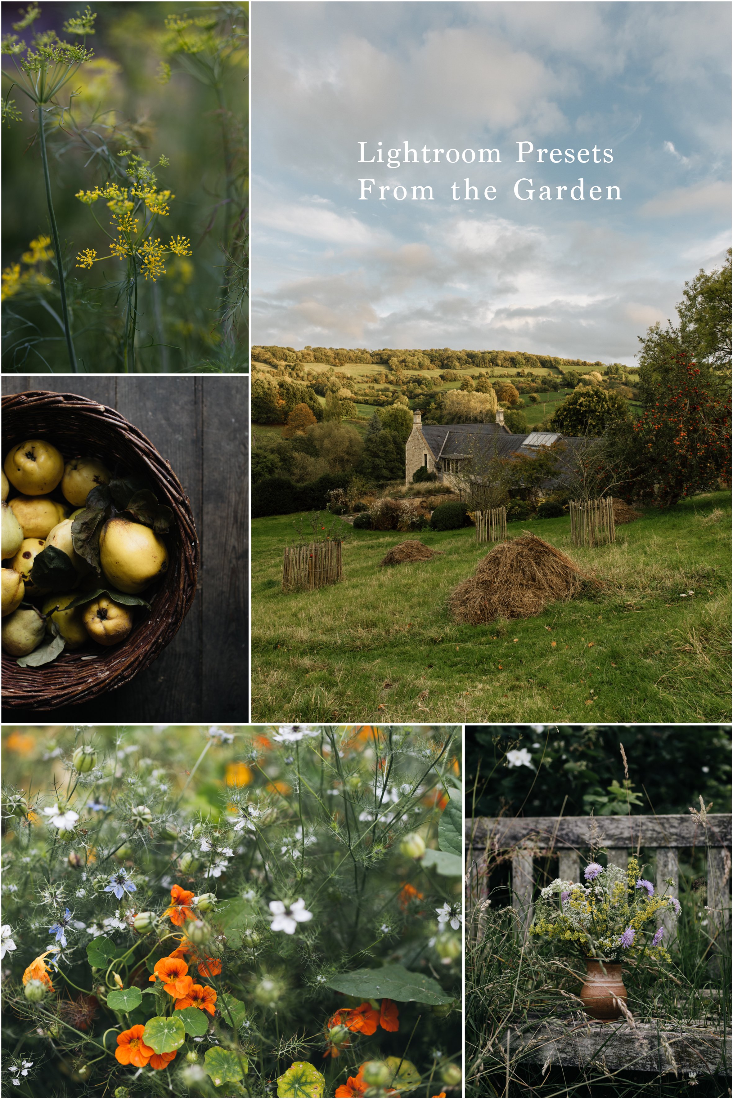 Lightroom Presets - From the Garden