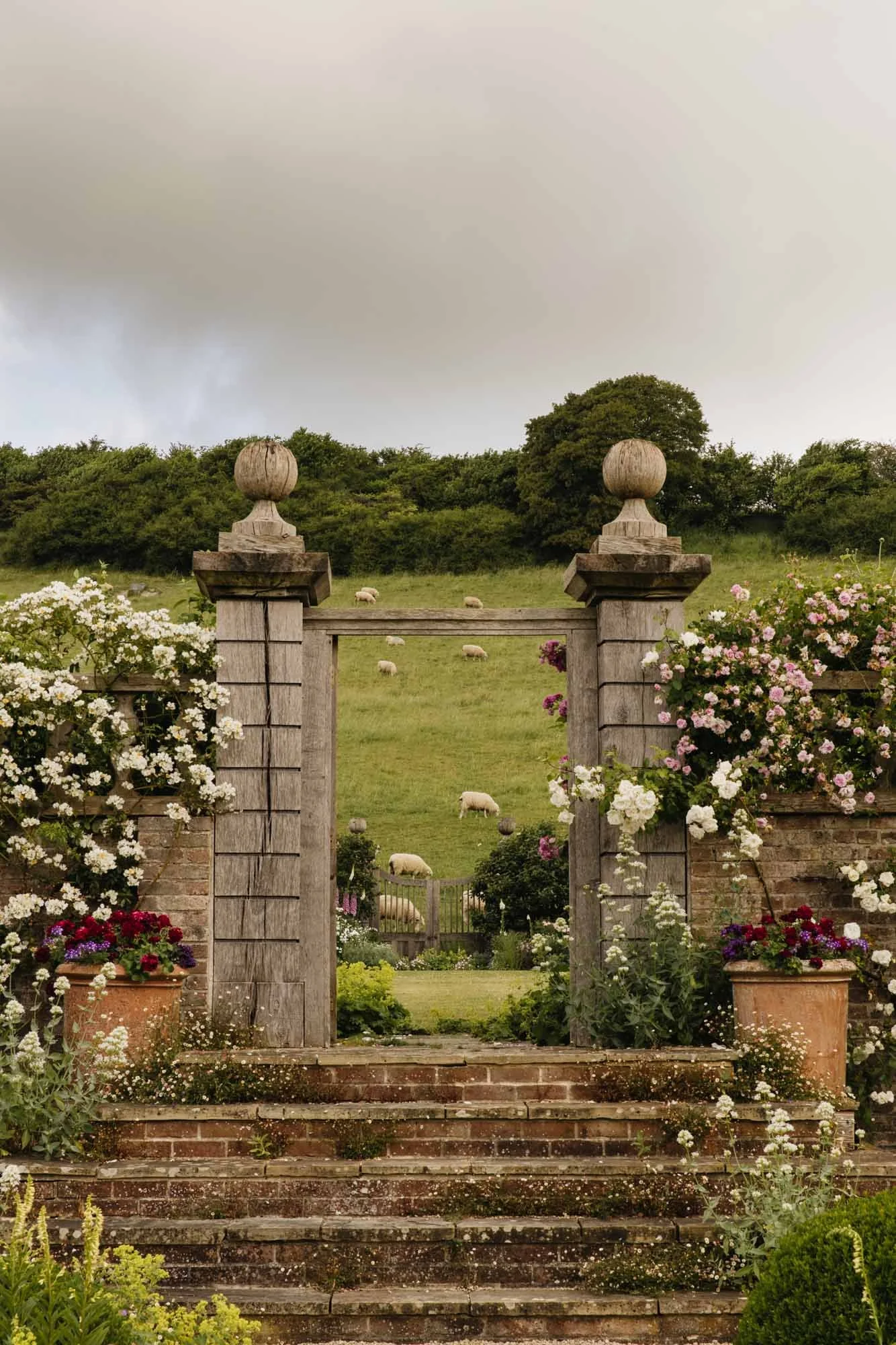 Stone steps leading up to a garden gate flanked by potted flowering plants, with a view of a green hill with grazing sheep and trees in the background. Dorset Walled Garden in Somerset