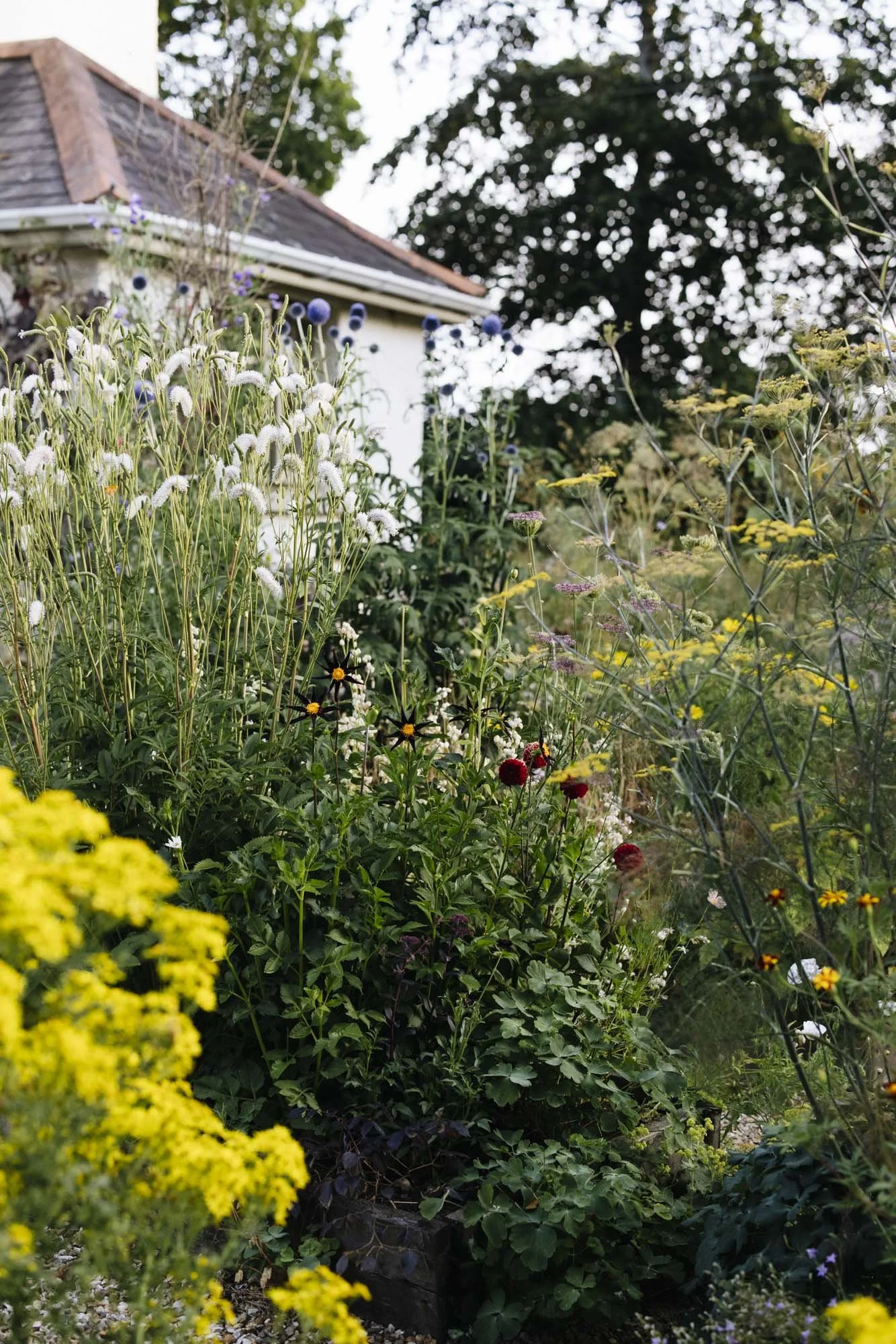 357A7284.jpg