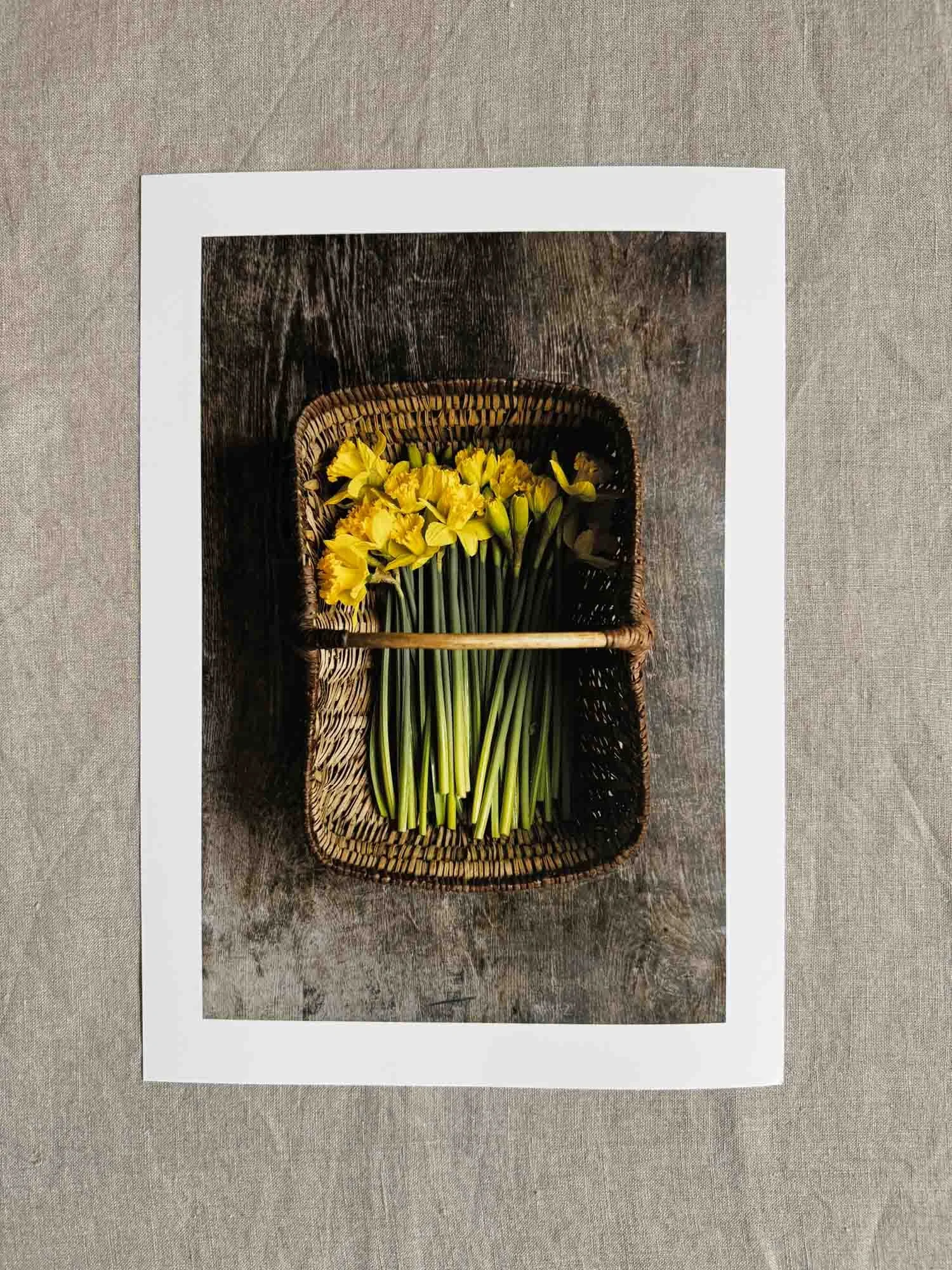 daffodils-in-basket-print.jpg