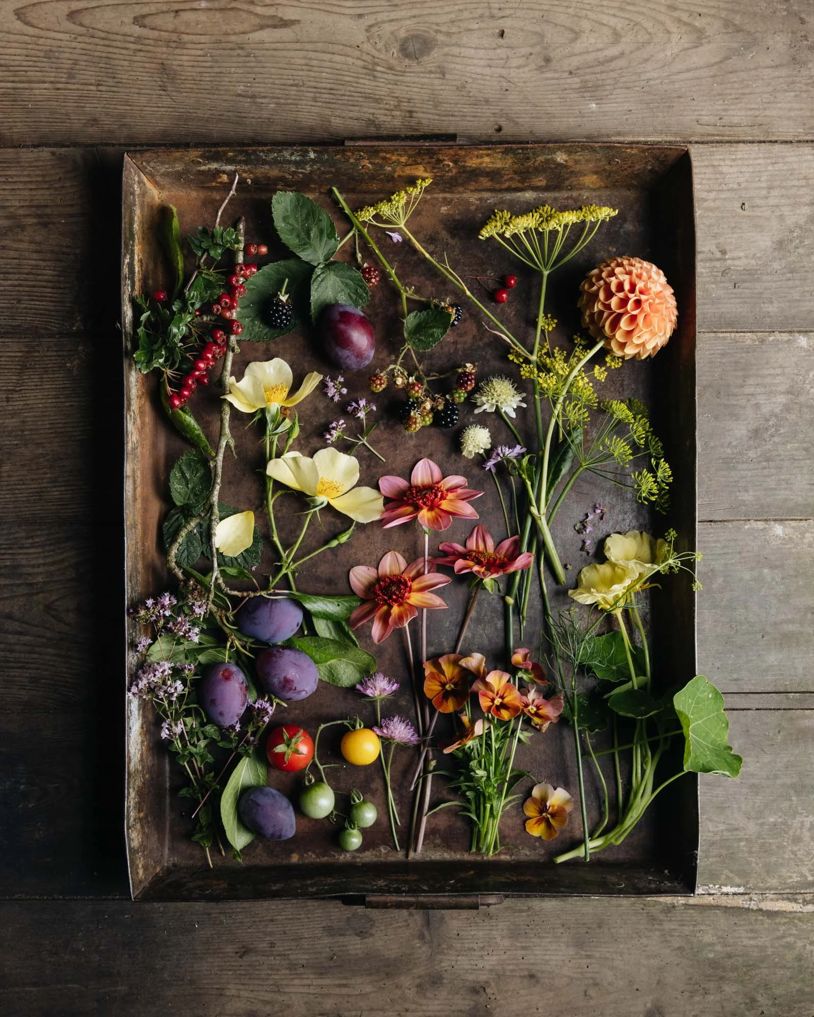 Autumn botanical fine art photography print