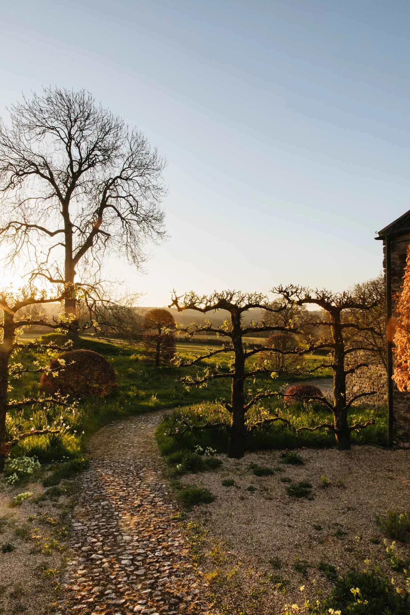 South Wood Farm scene at sunset with leafless and pruned trees, a winding stone path, and a stone building partially visible on the right.