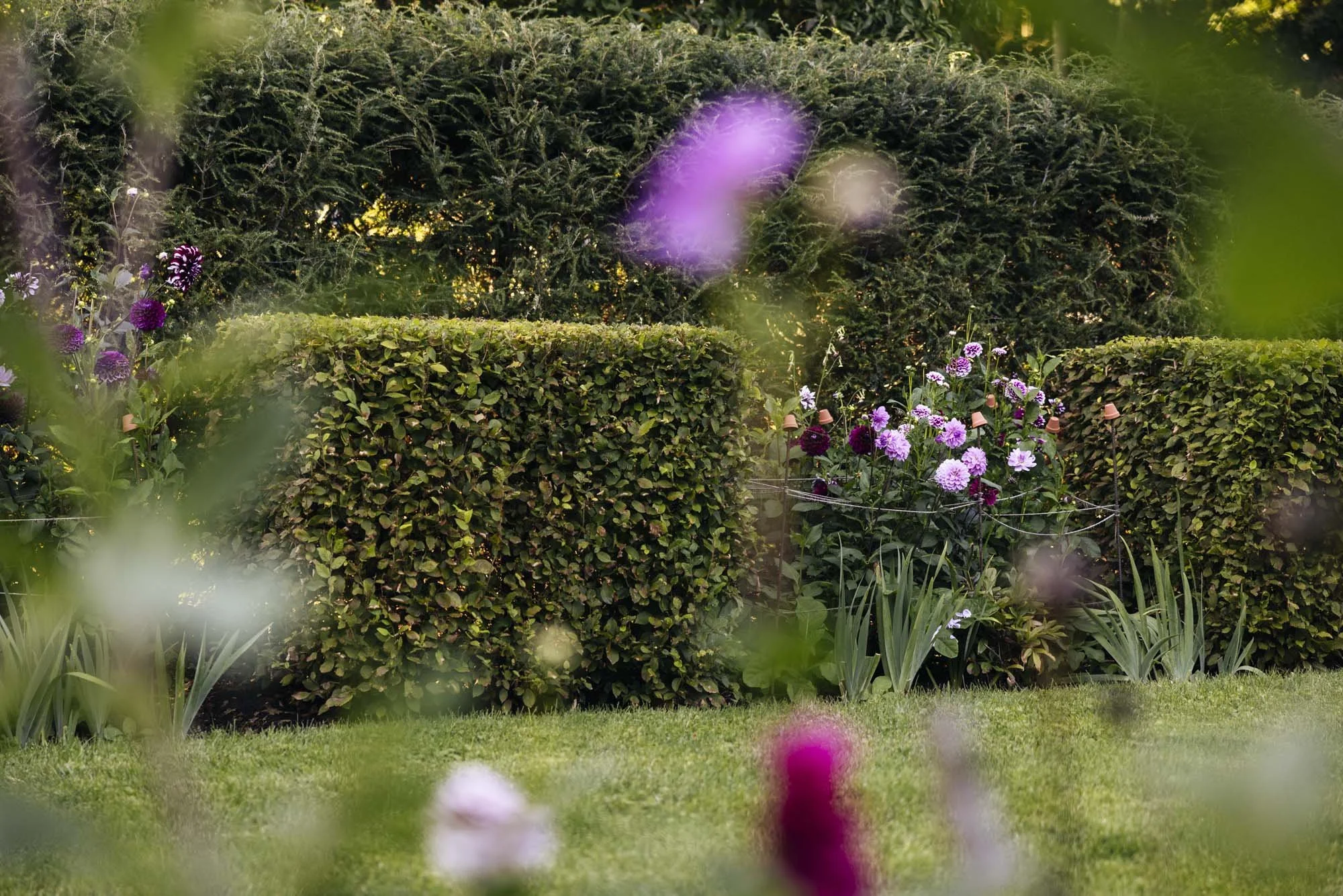 357A2551.jpg