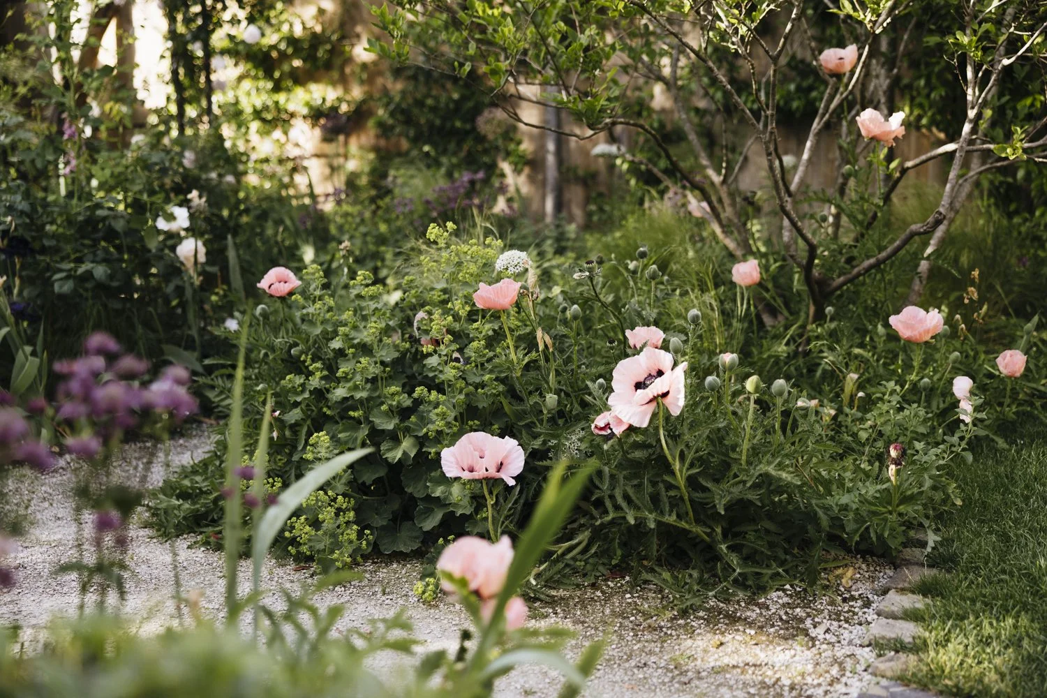 357A7948.jpg