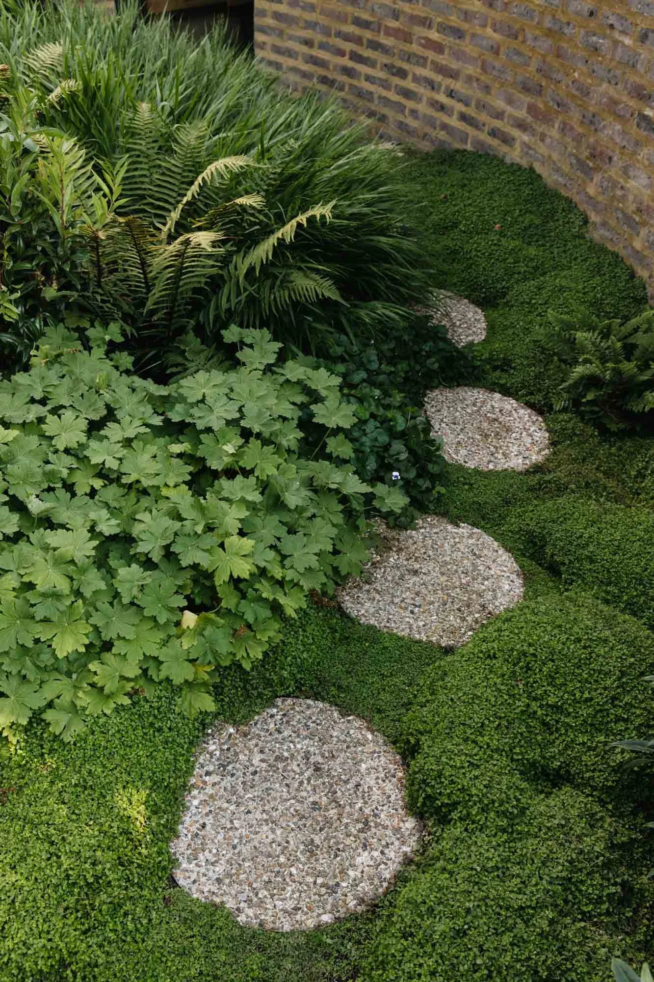 A garden with green plants, ferns, and small round stepping stones surrounded by lush grass and moss, with a brick wall in the background. Non Morris garden design