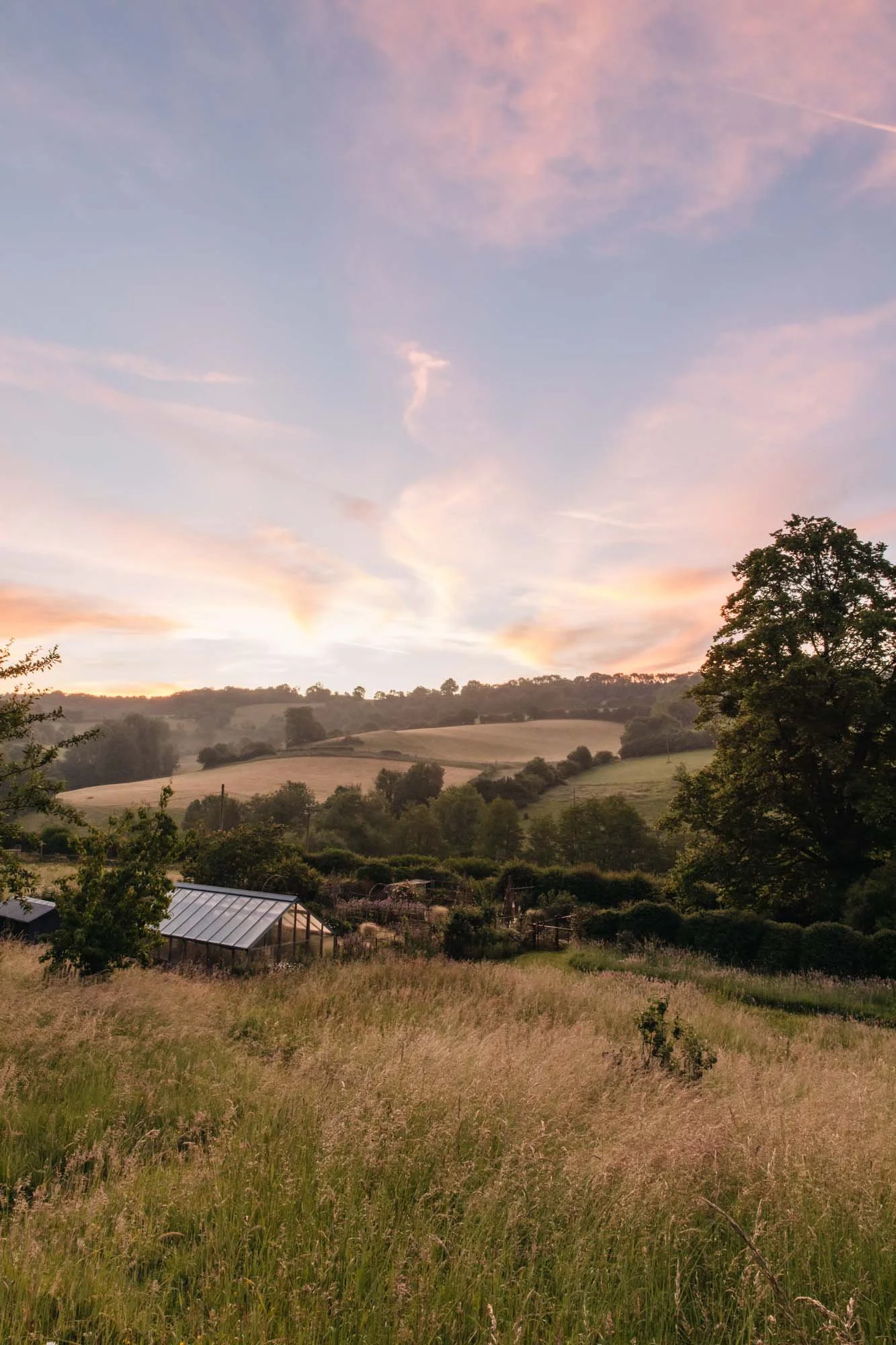 A peaceful countryside landscape at sunset with rolling hills, a few greenhouses, trees, and tall grass.