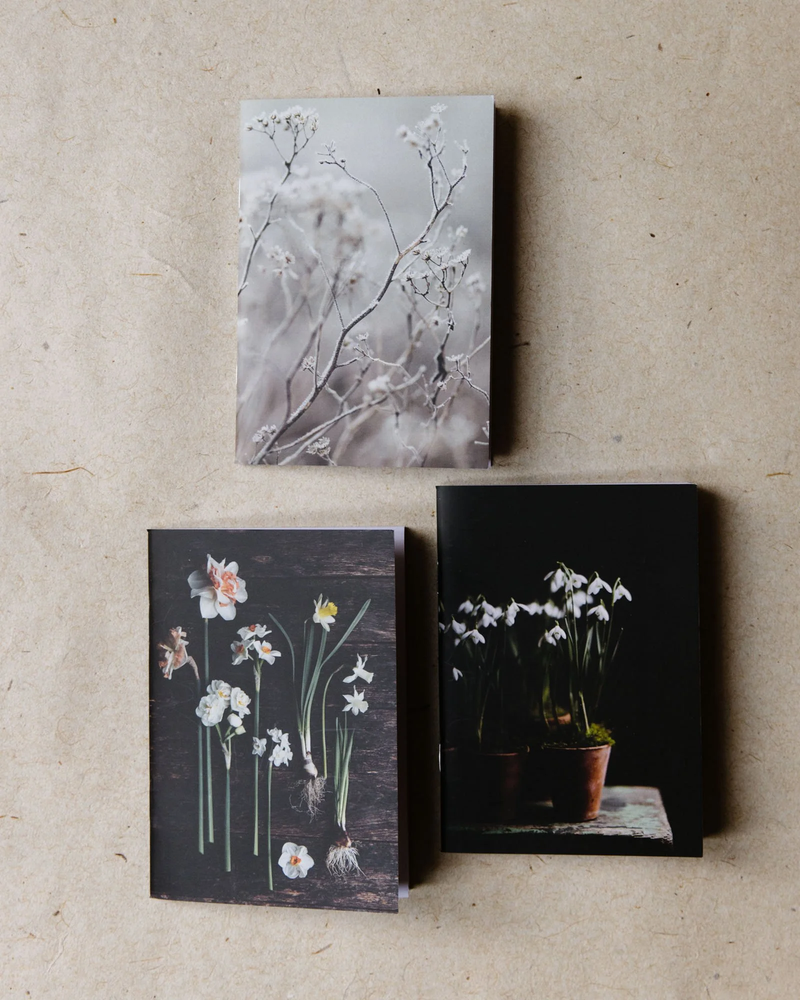 Set of Botanical notebooks winter
