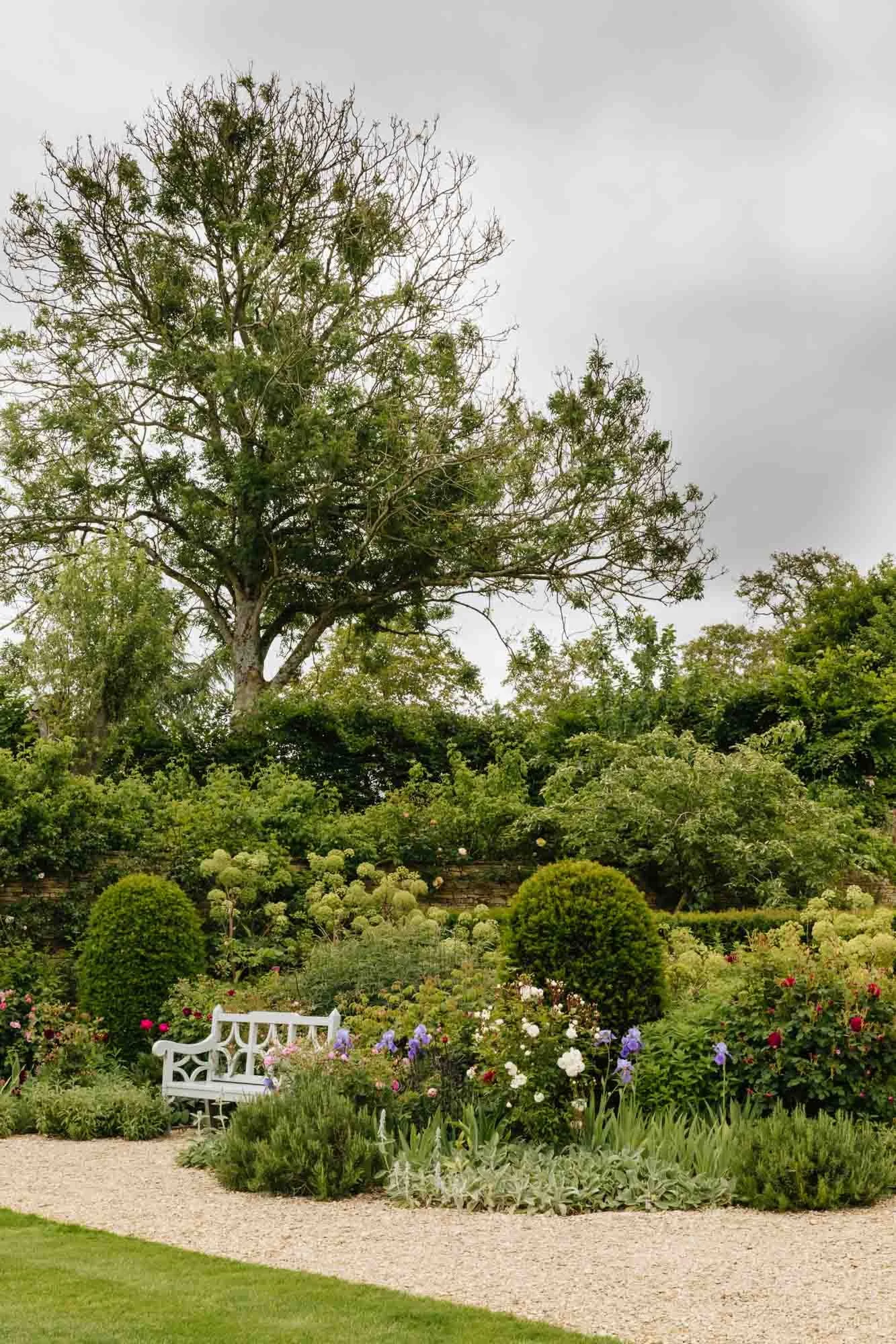 Batcome garden with a white metal bench surrounded by colorful flowers, bushes, and a large tree in the background under a cloudy sky.
