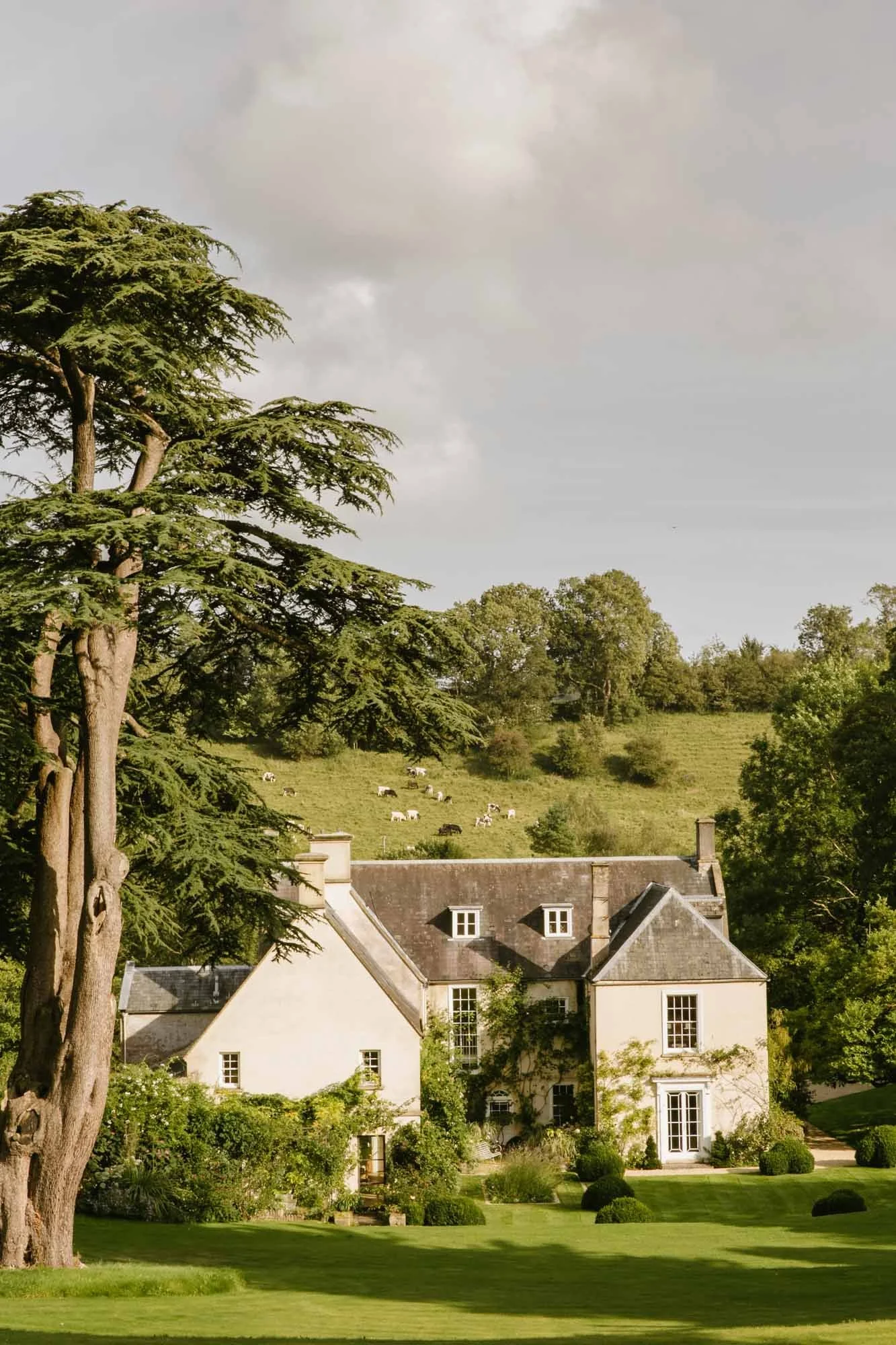 A large white house with a garden in front, surrounded by trees, with a hillside in the background where cows are grazing. Batcombe House Libby Russell