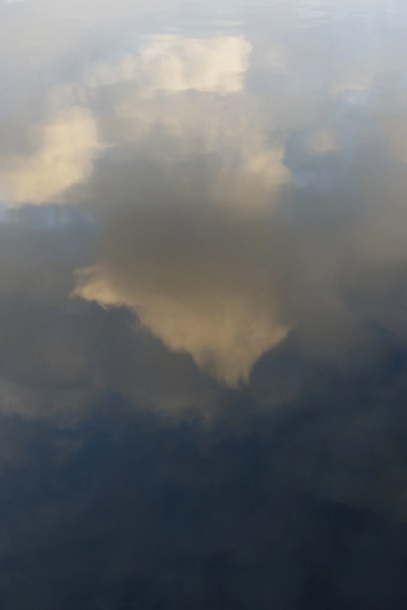 357A4555.jpg
