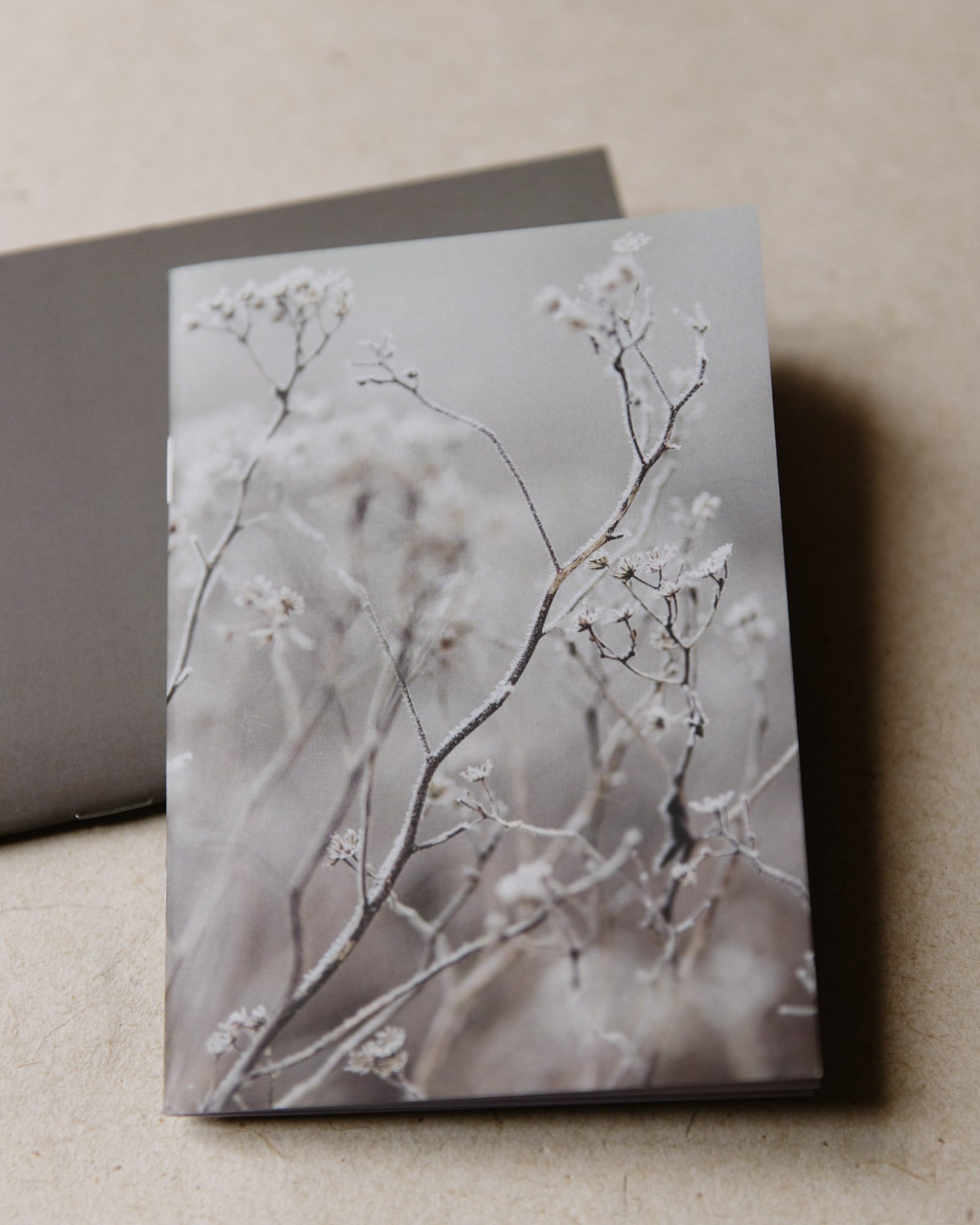 Set of Botanical notebooks winter