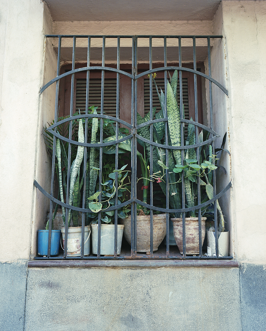 Plants on the window sill, La Habana Cuba, 2018