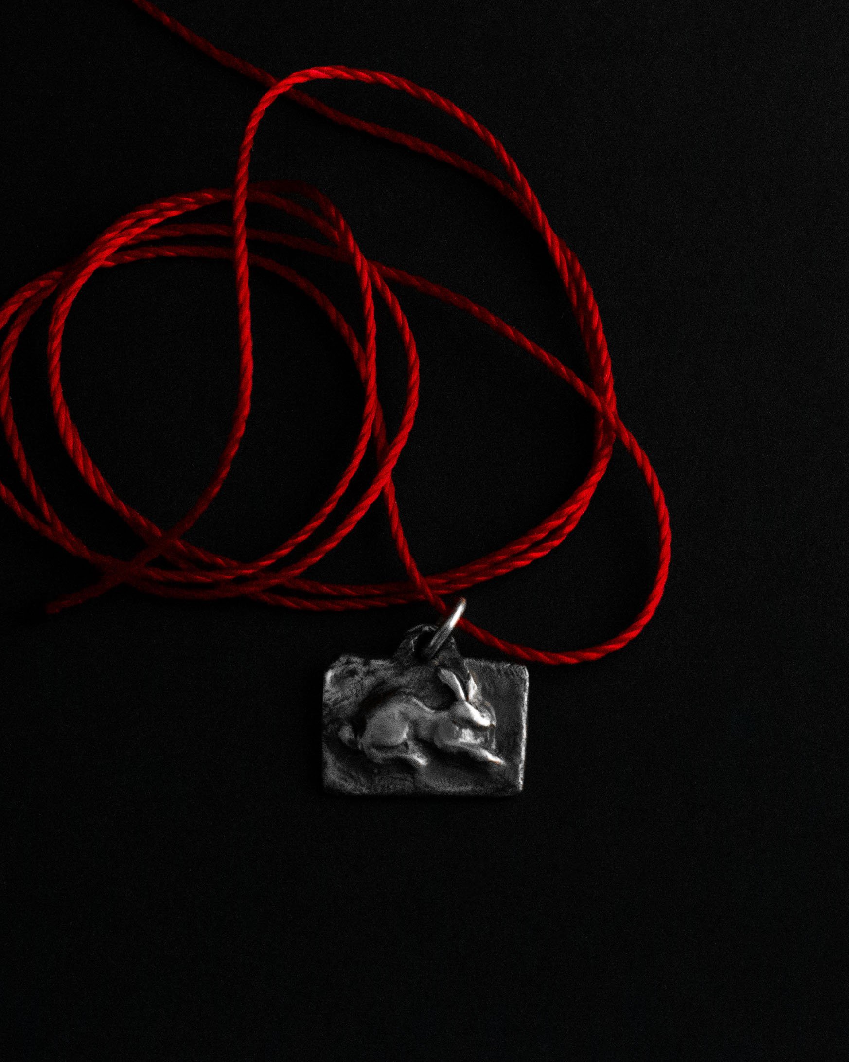 THE-RABBIT-RED-Black-Daisies-Jewelry.jpg