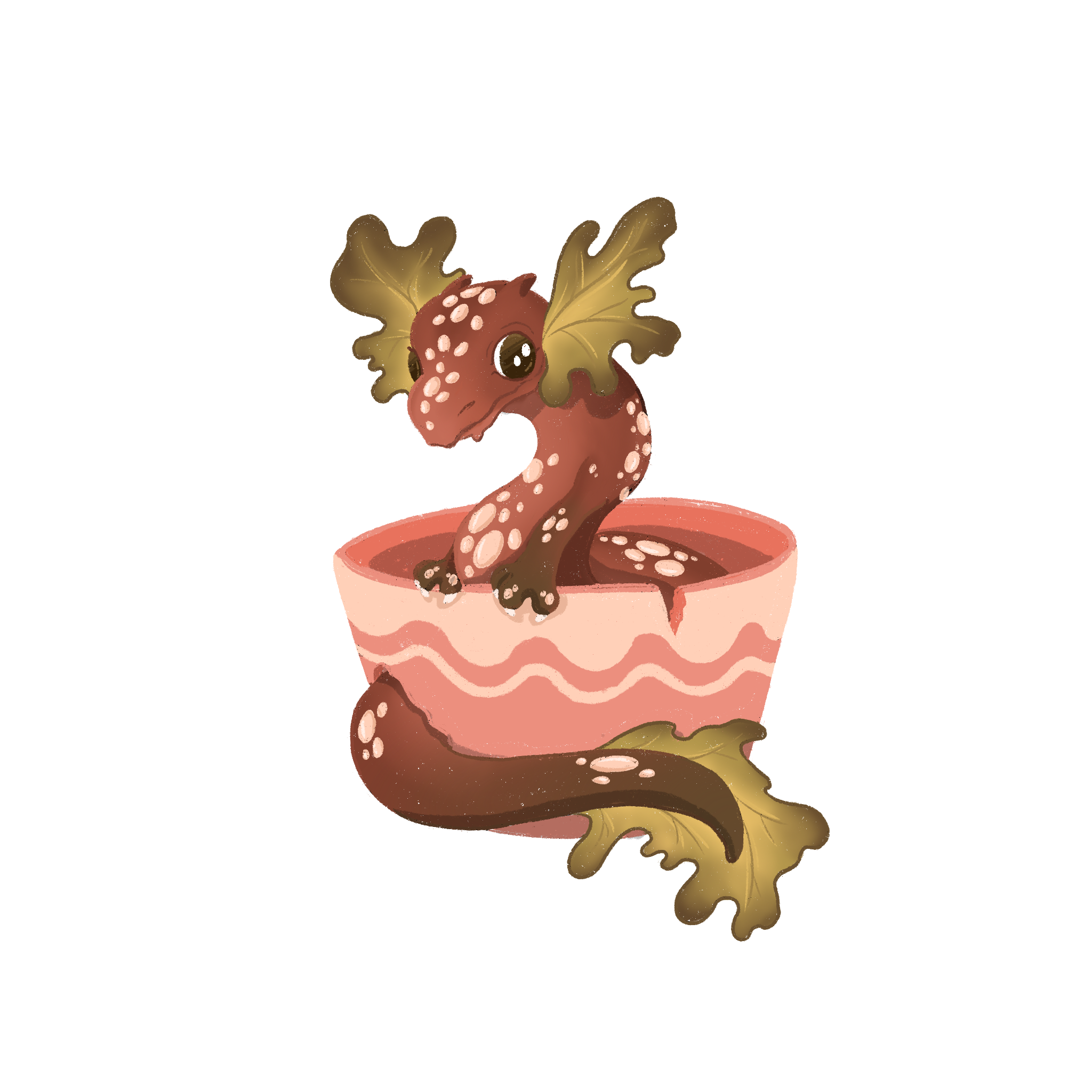 IMG_2023.png