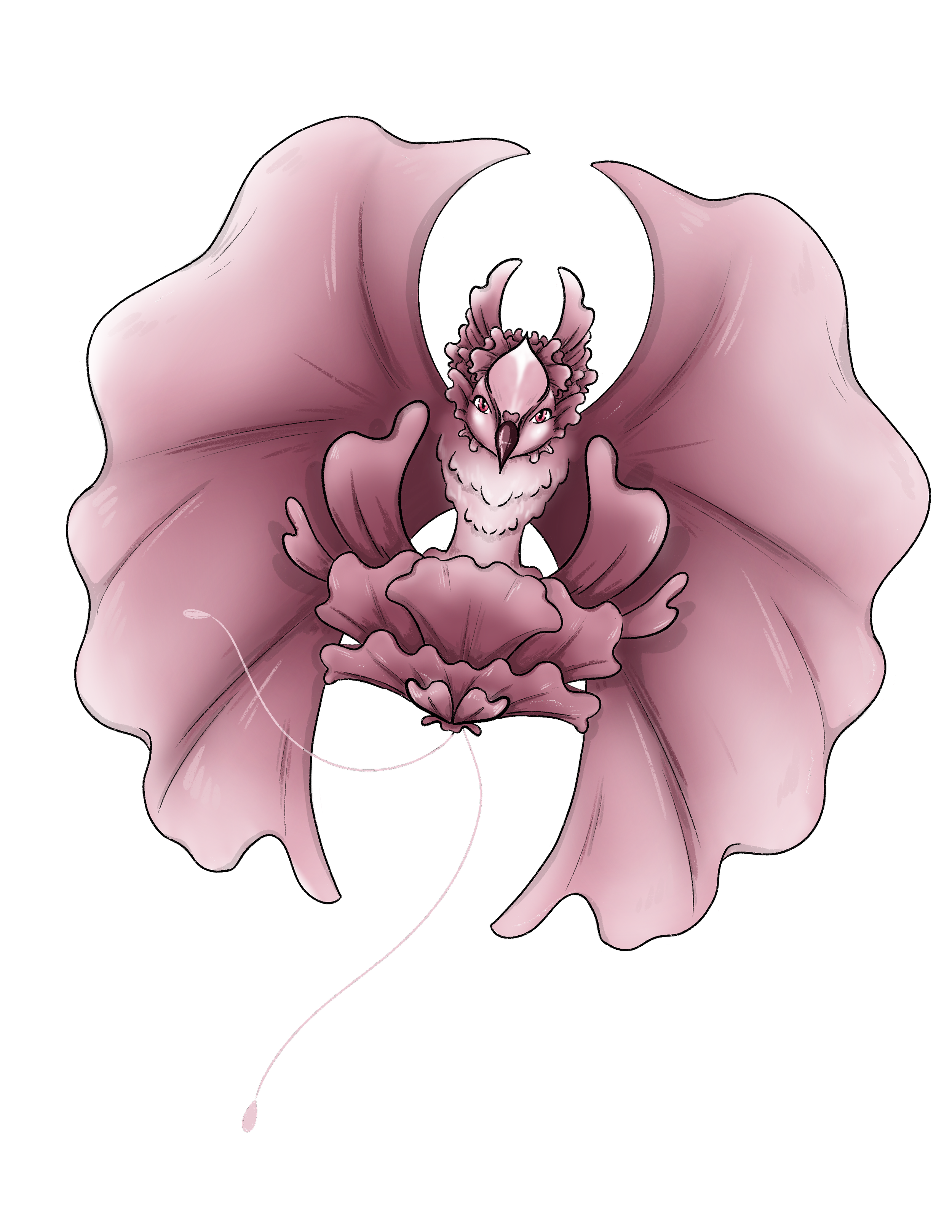 IMG_3186.PNG