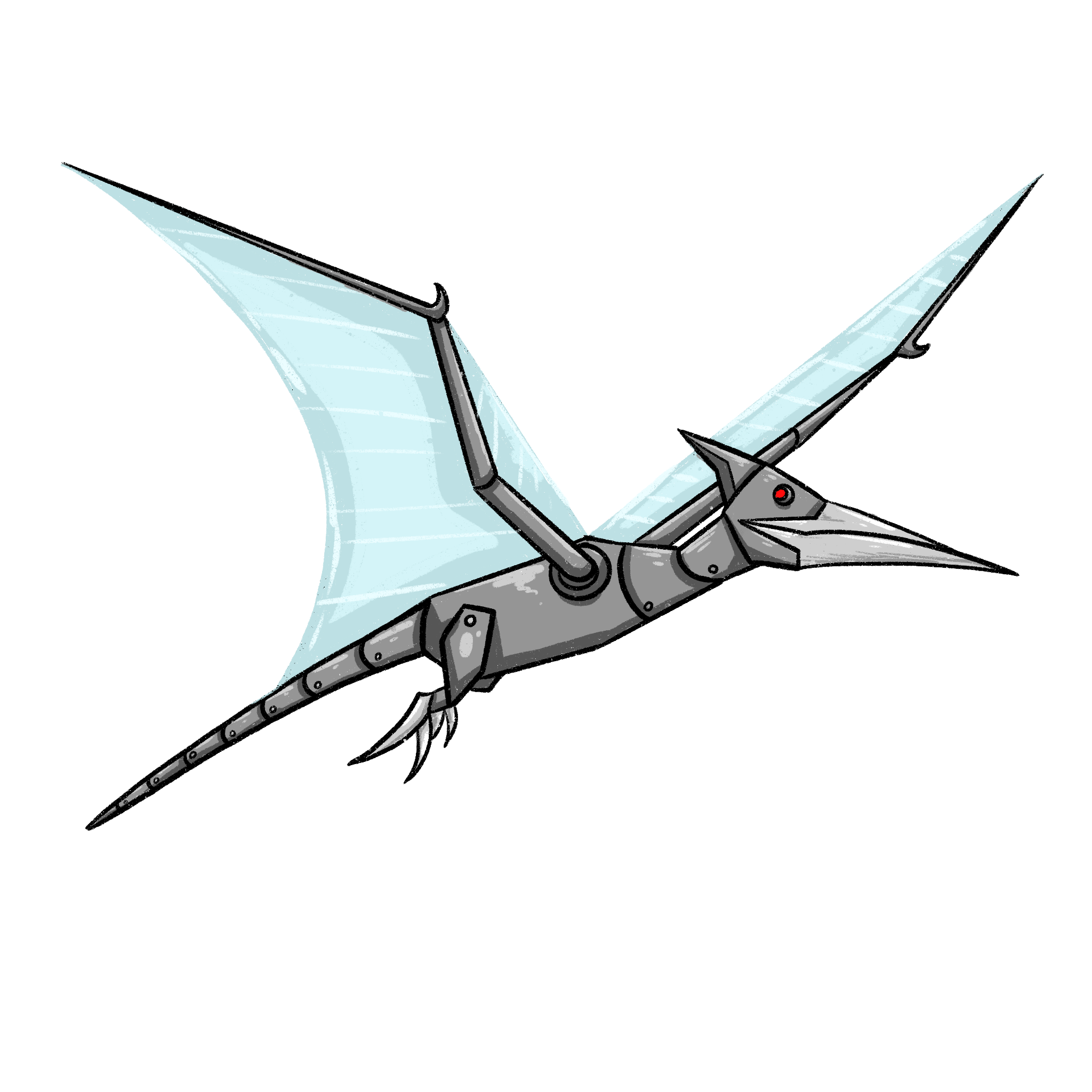 IMG_3086 (1).PNG