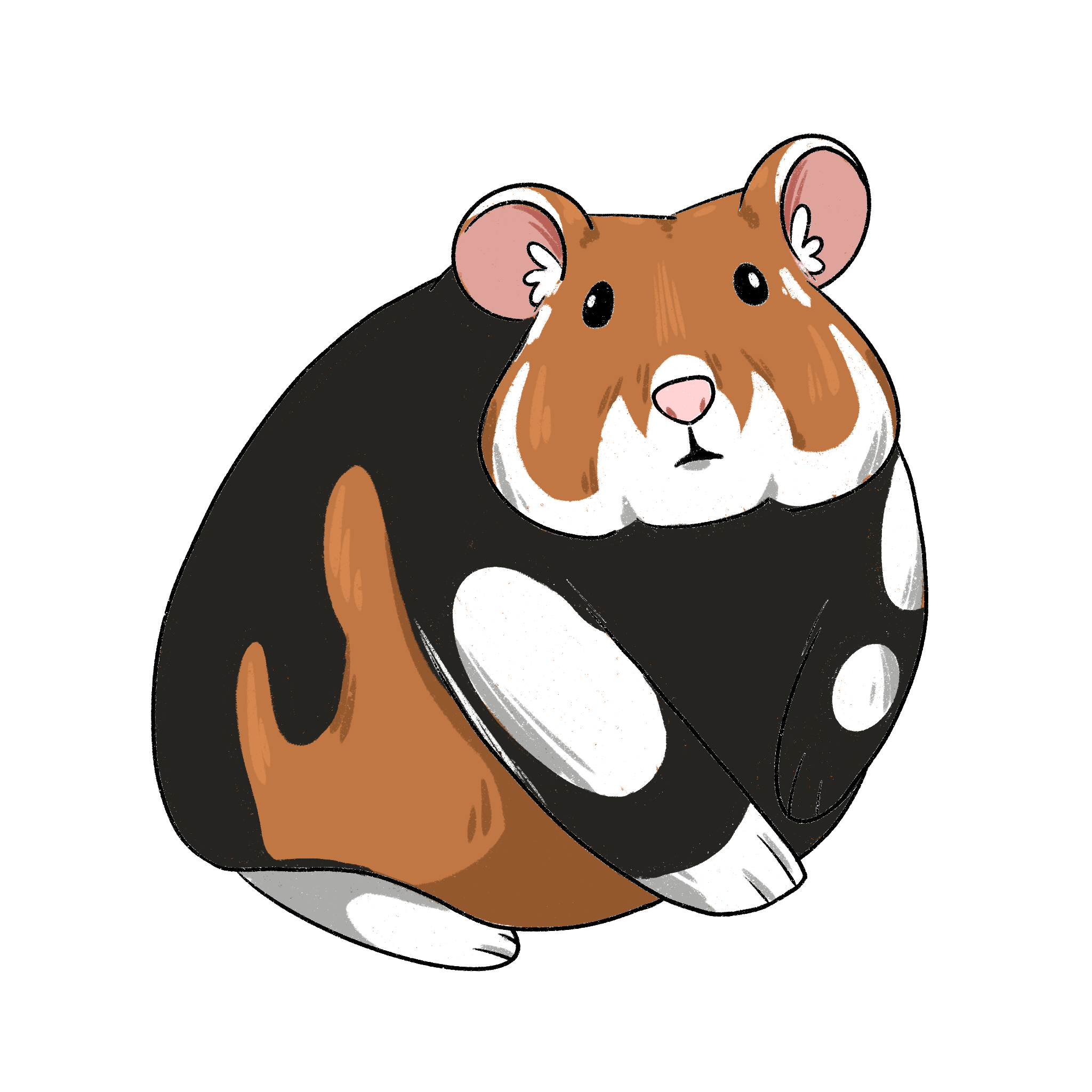 Hamster 2.PNG