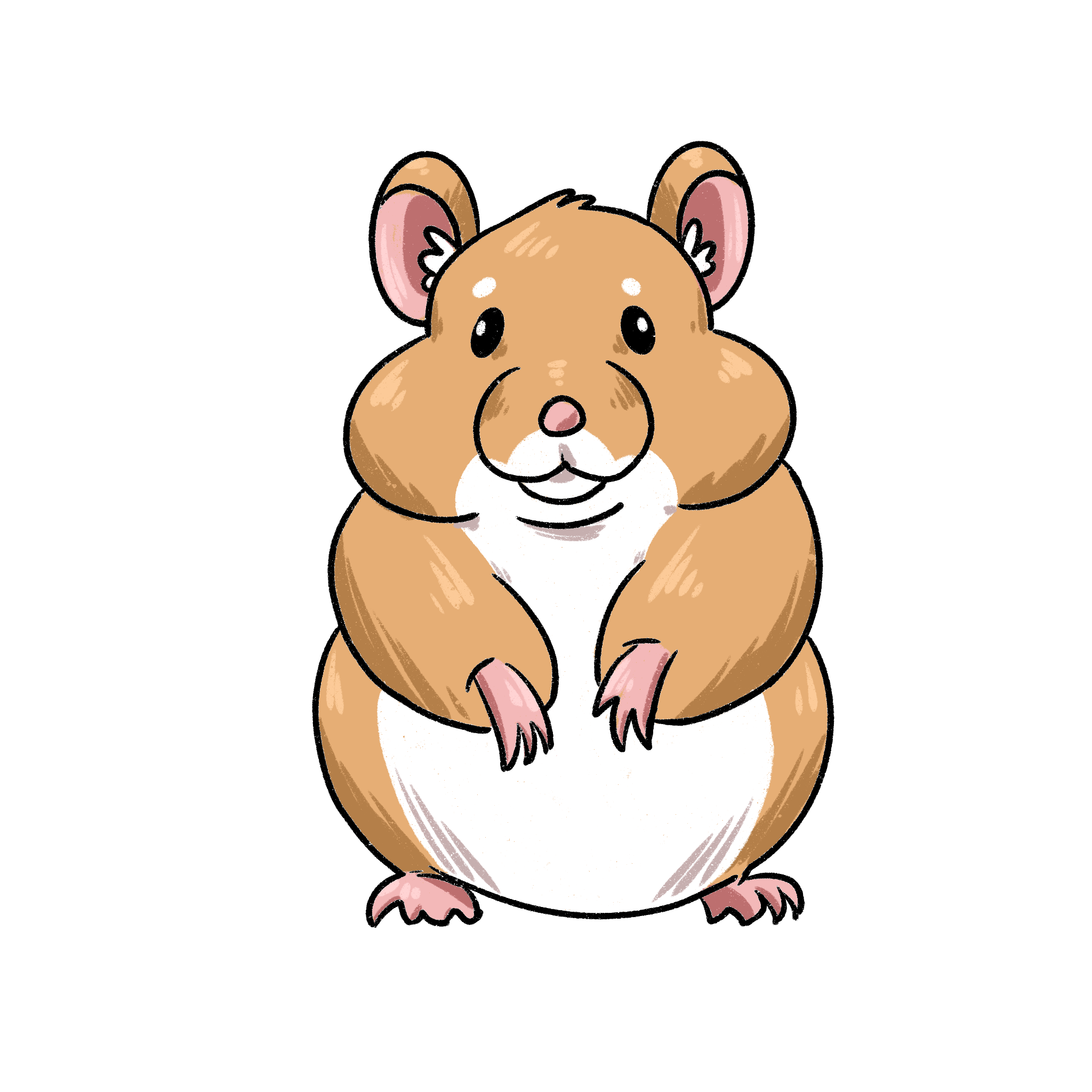 Hamster 1.PNG