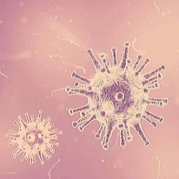 COVID-19 and the Art World - with Sam Peacock