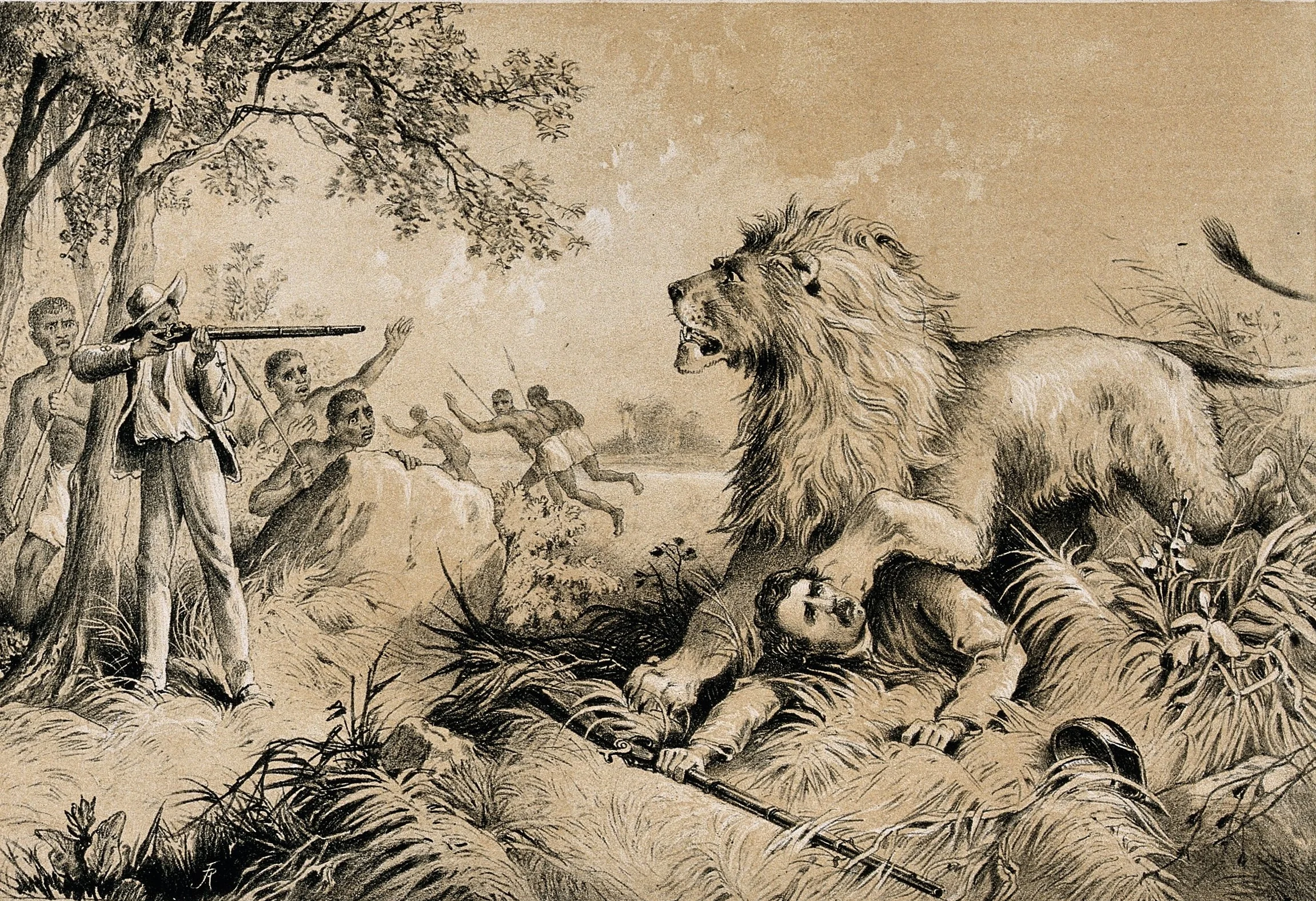 David Livingstone