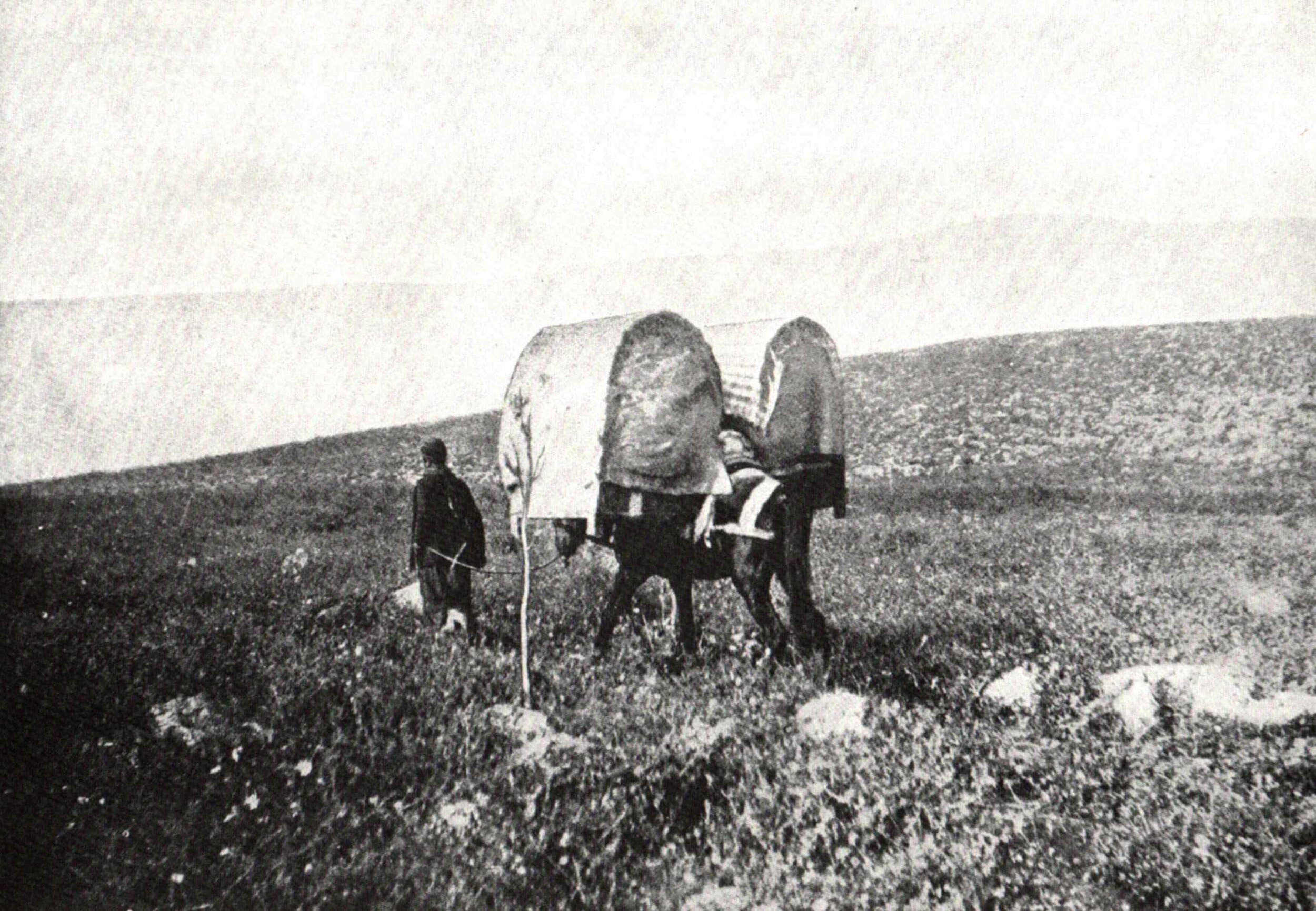 Pilgrim Family In The Holy Land, 1894