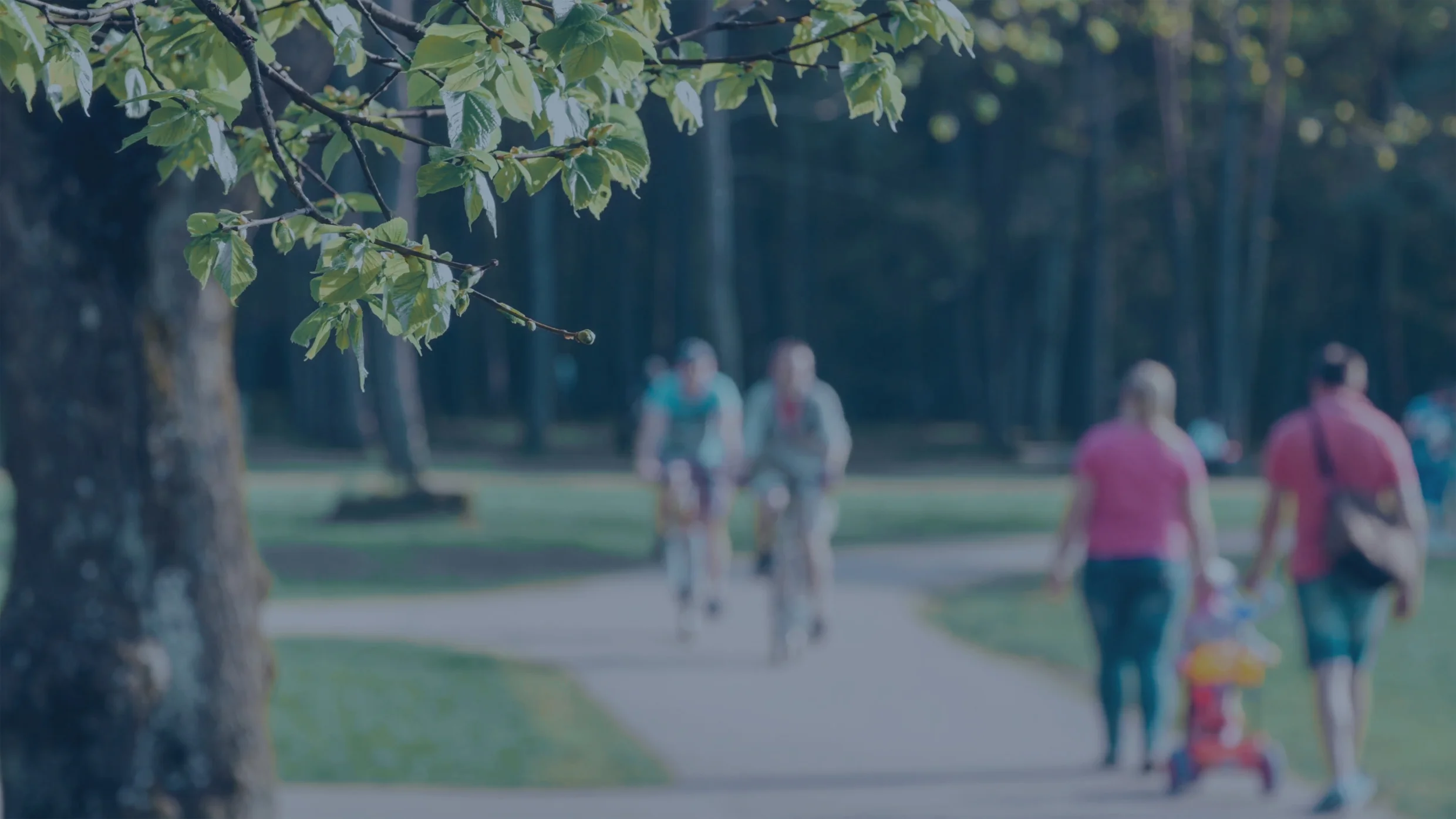 blurred-background-of-people-activities-in-park-with-bokeh-spring-and-summer-season_runipr4e__F00003.jpg