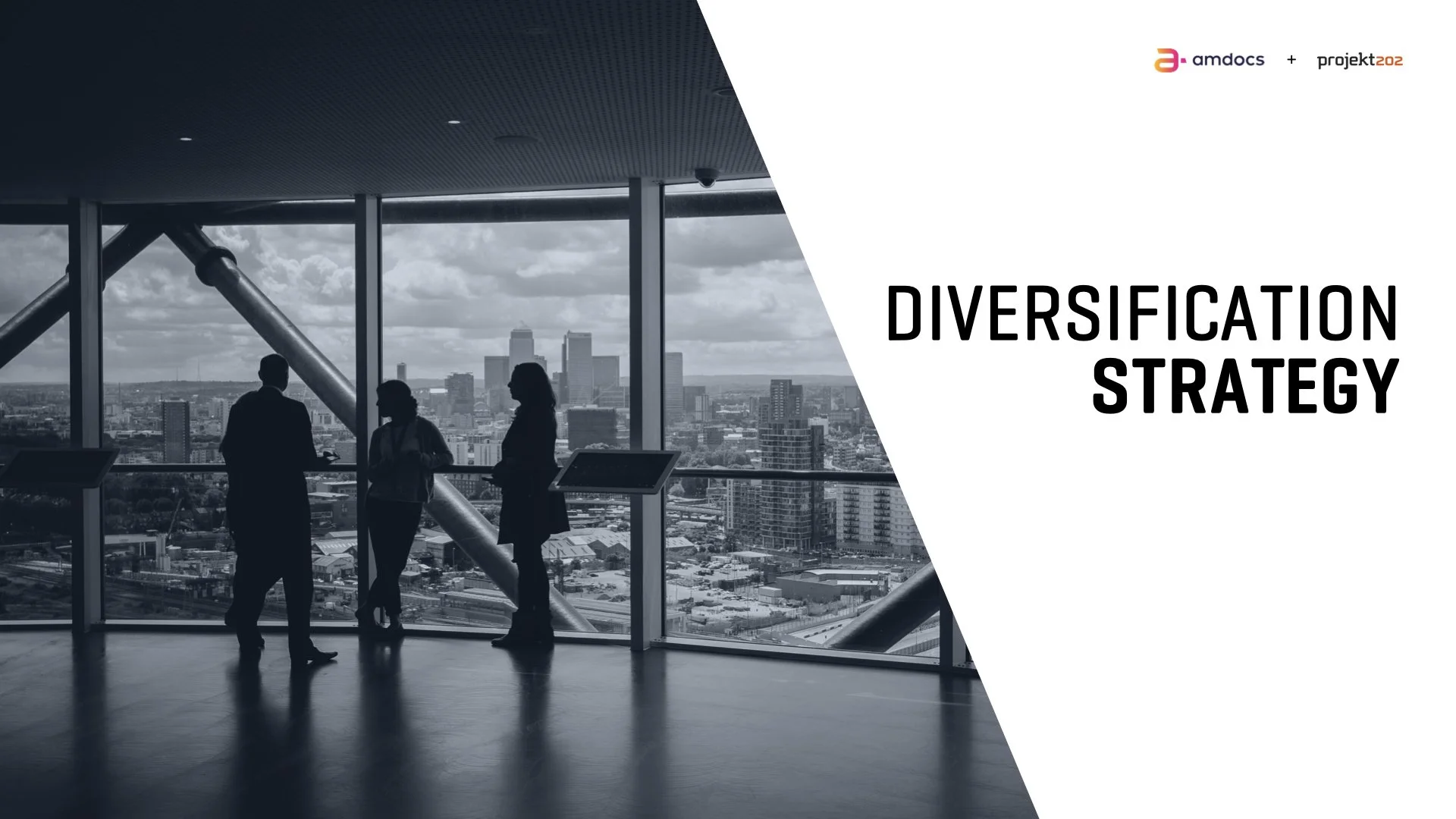 Diversification Strategy.001.jpeg