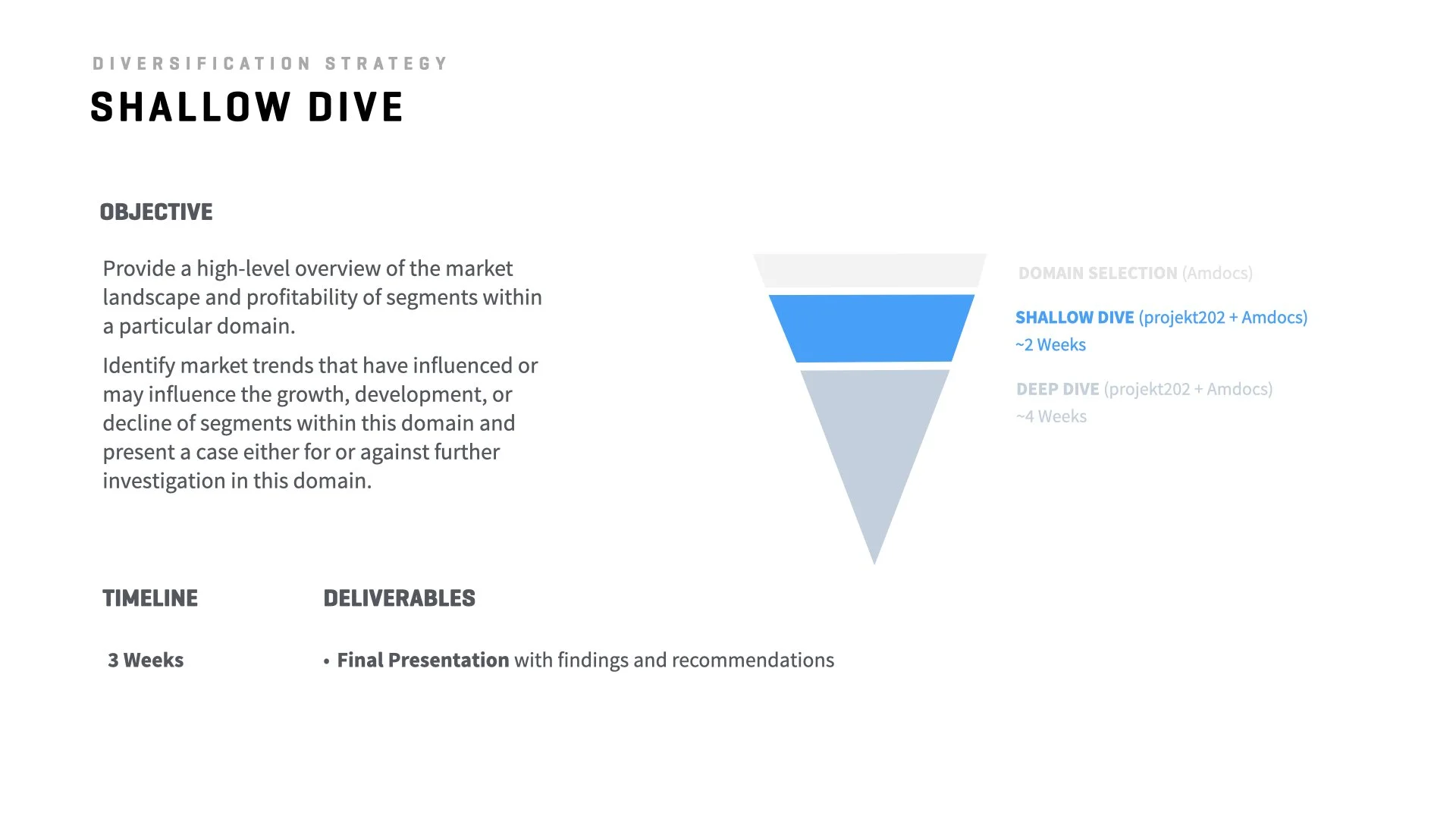 Diversification Strategy.005.jpeg